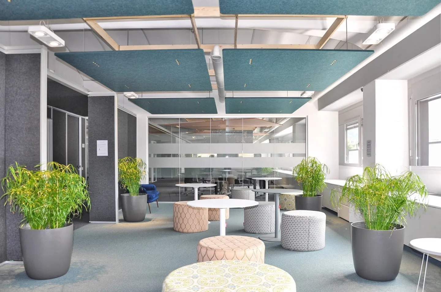 Bedano - Large offices for rent of various types - Photo 3 of 10