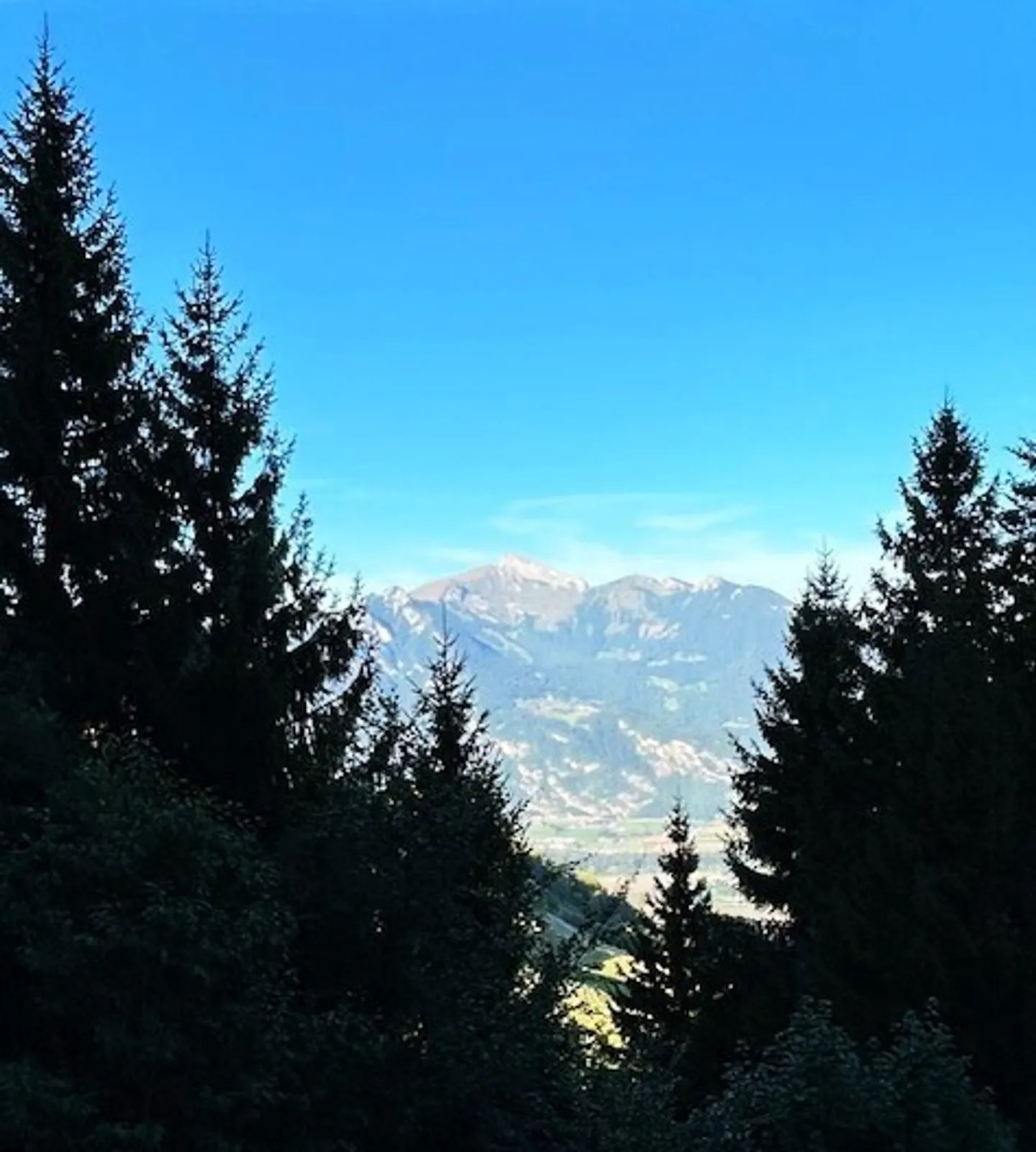 Charming 2.5-room furnished apartment in Torgon - Photo 9 of 9