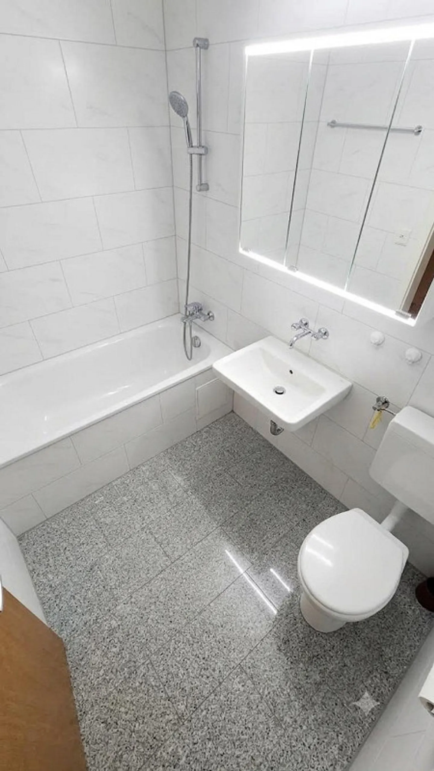 Bright 3-room apartment with 2 balconies - near Basel SBB - Photo 6 of 6