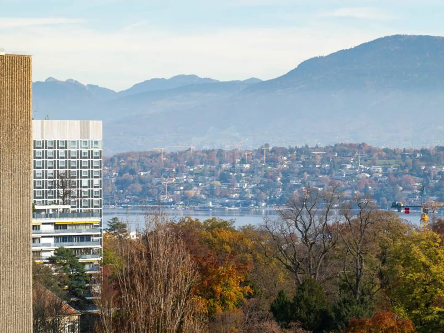 Appartamento piacevole - Ginevra - Foto 10 di 11