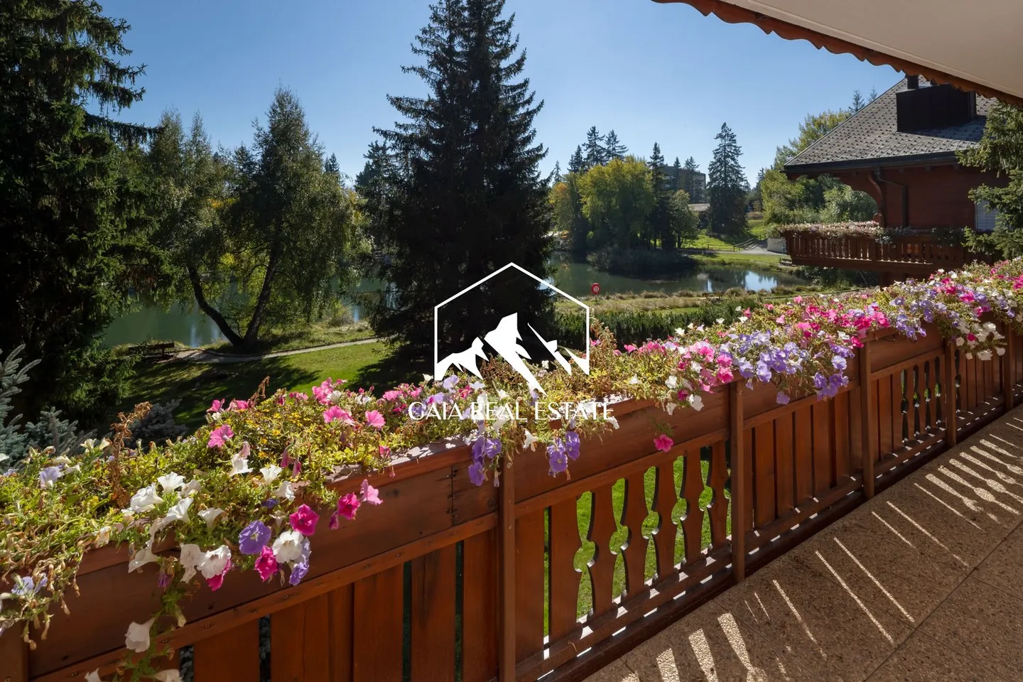 Manga C - Foto 1 di 15