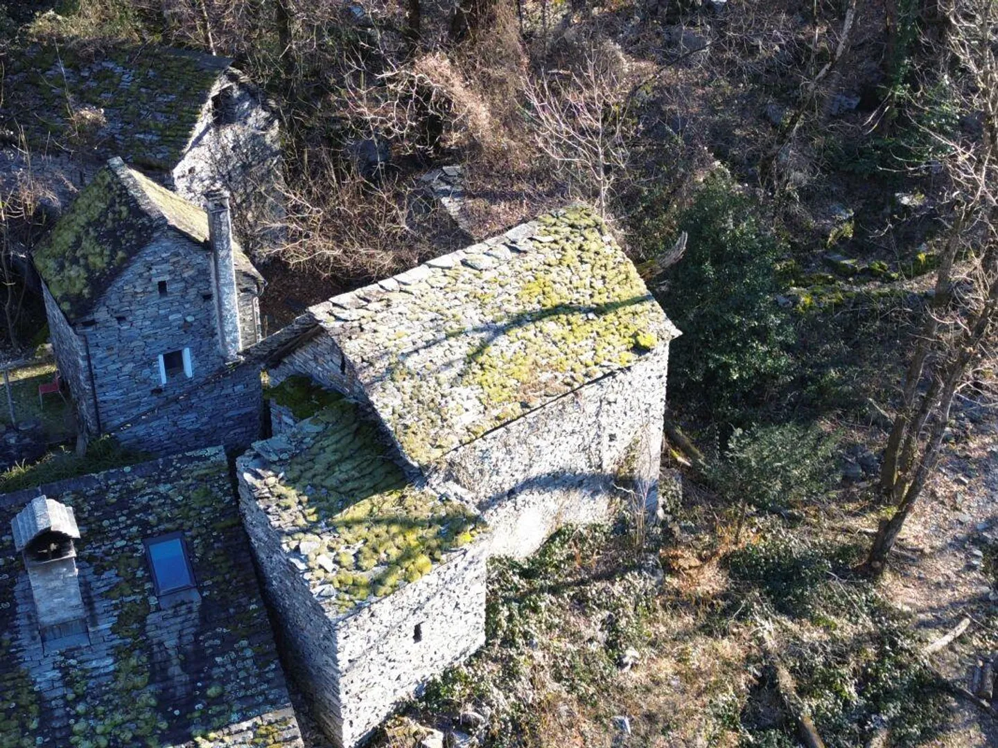 Incantevole Rustico Panoramico in Valle Maggia – Un Rifugio da Sogn... - Foto 1 di 8