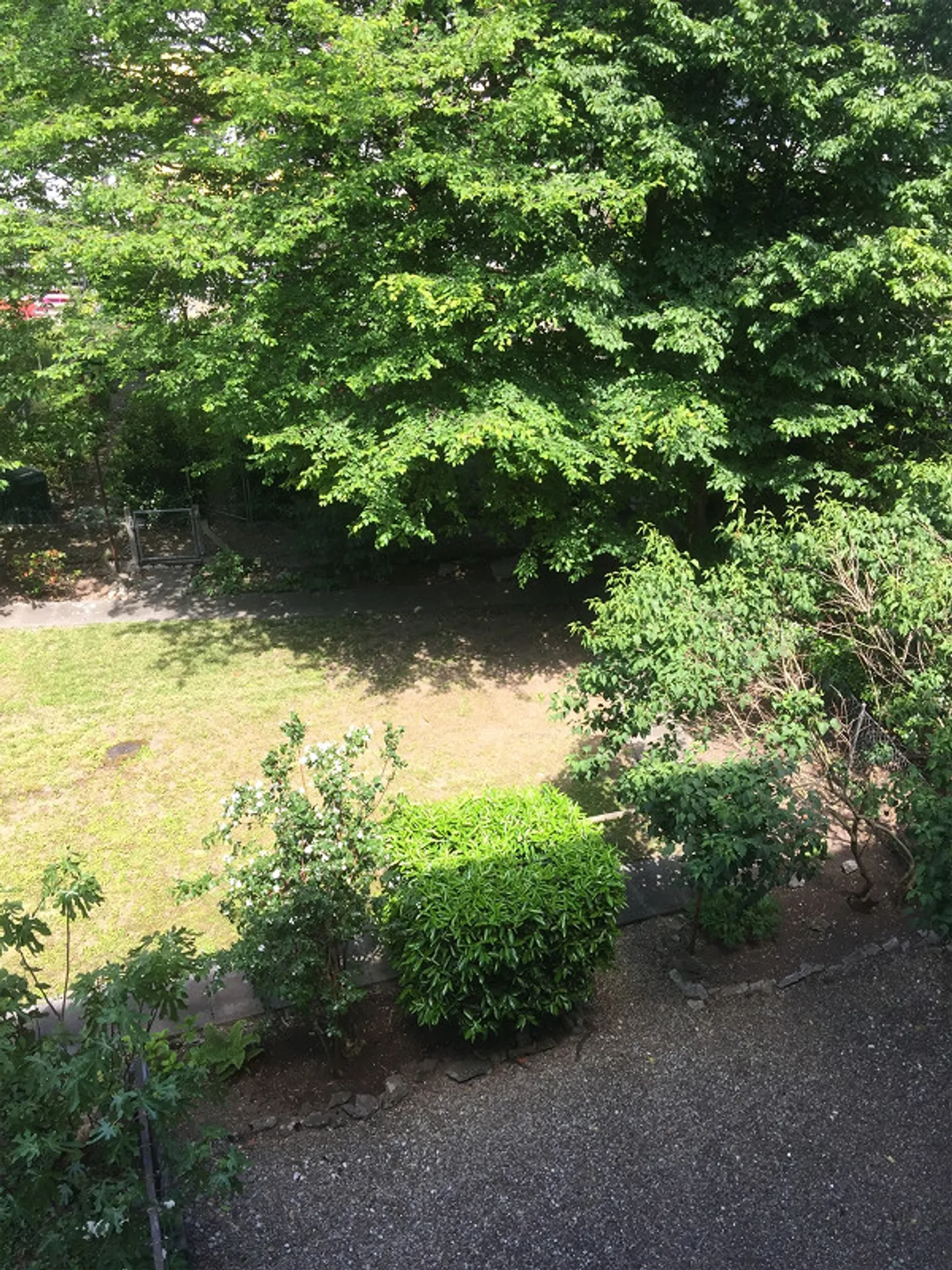 Looking for immediate subtenant for 3-room apartment in Gundeli - Photo 13 of 14