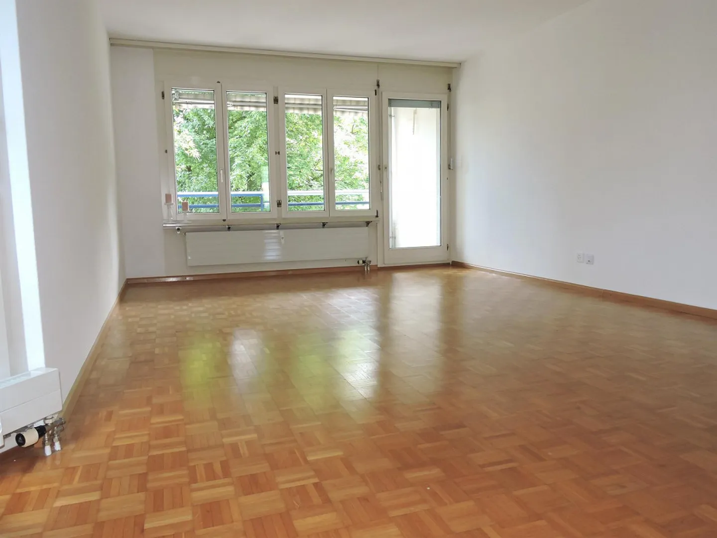 Attenzione single! - Foto 3 di 7