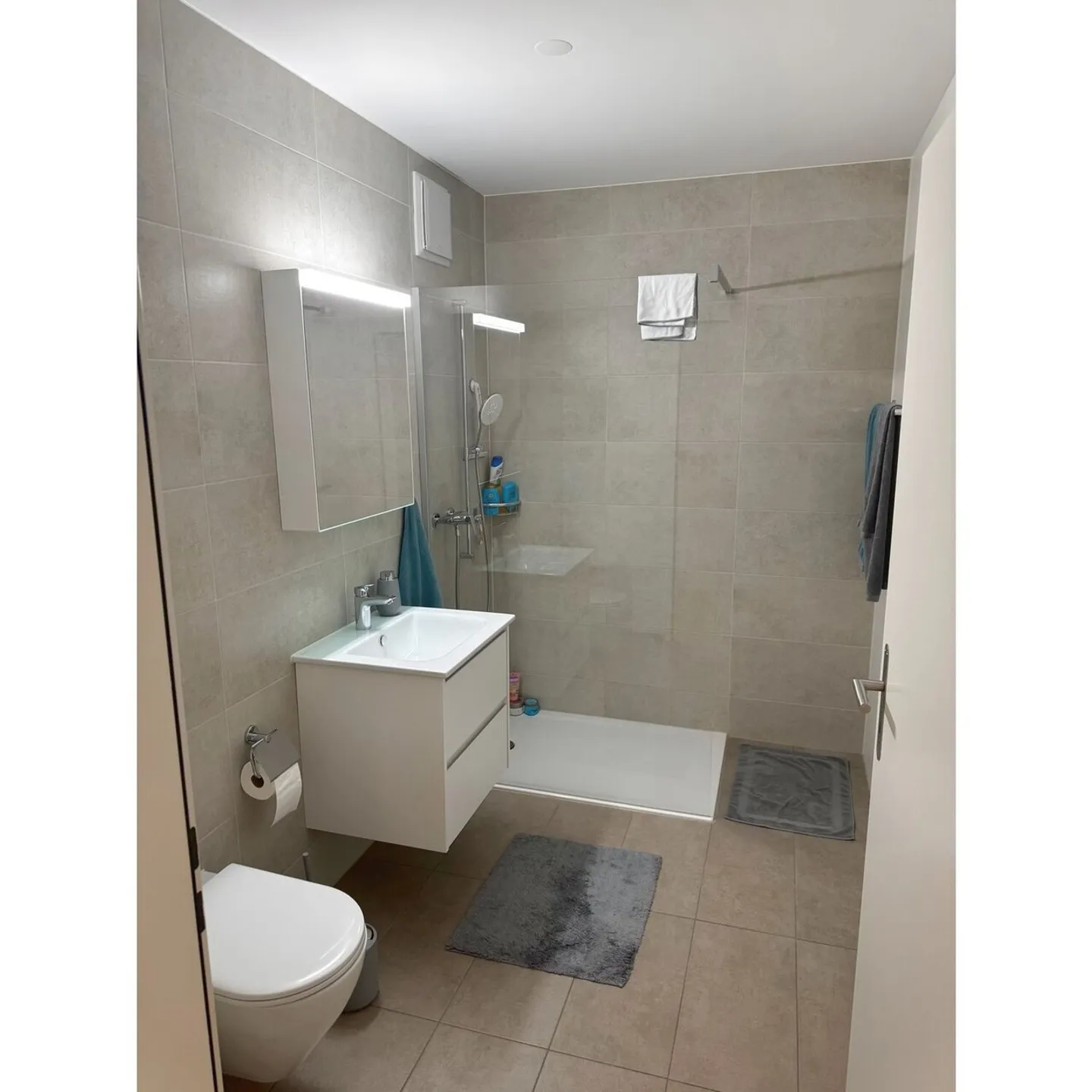 Modern Apartment in Biberist - Photo 8 of 9