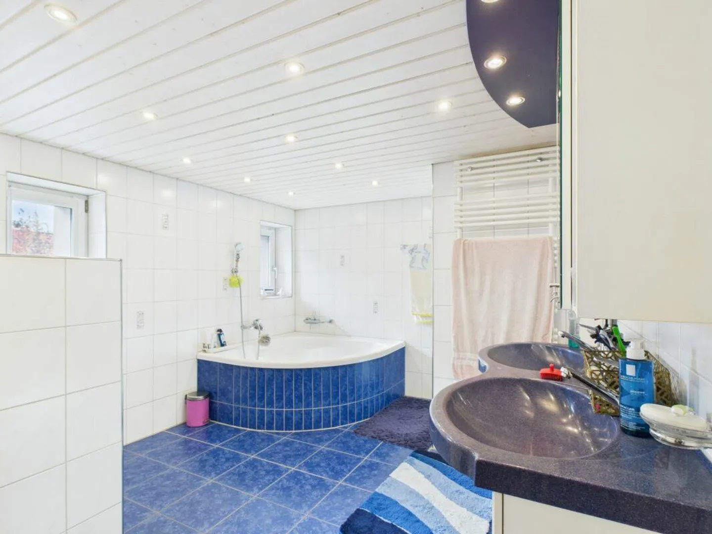 Spacious Living with Panoramic Winter Garden - Photo 7 of 10