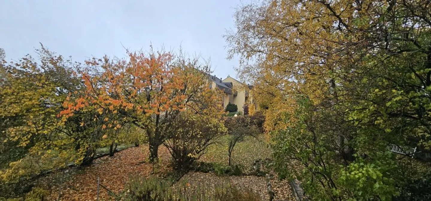 00399 - Luminoso e spazioso - Les Scies 2 - Valangin - Foto 2 di 6