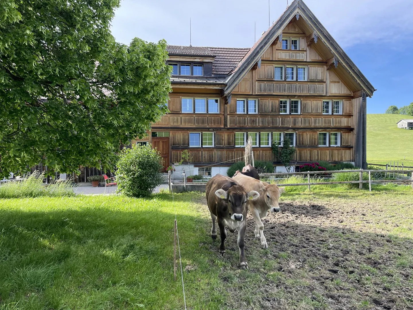 Appartement sous les combles de 2,5 pièces - Photo 1 sur 8