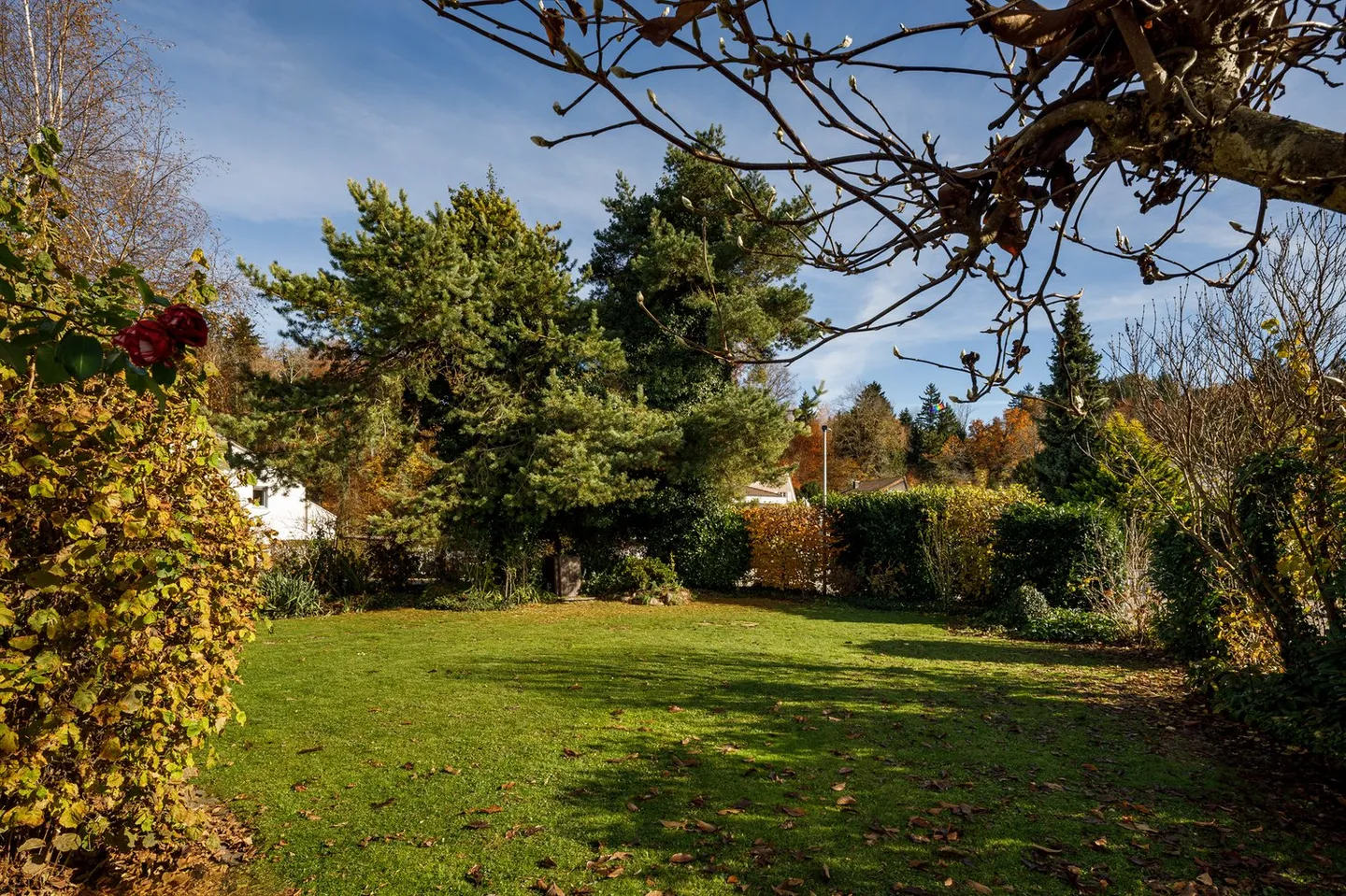 Semi-Detached House with a View, Garden and Potential - Photo 2 of 9