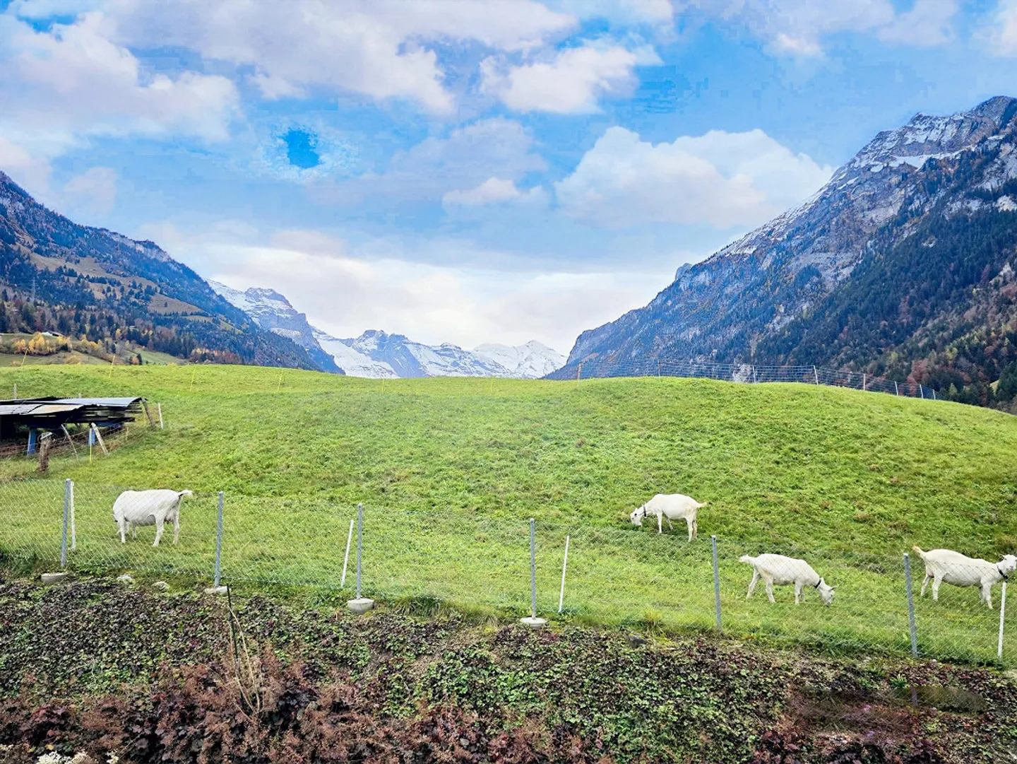 Appartement moderne 2.5 pièces avec balcon et belle vue à Kandergrund - Photo 16 sur 21