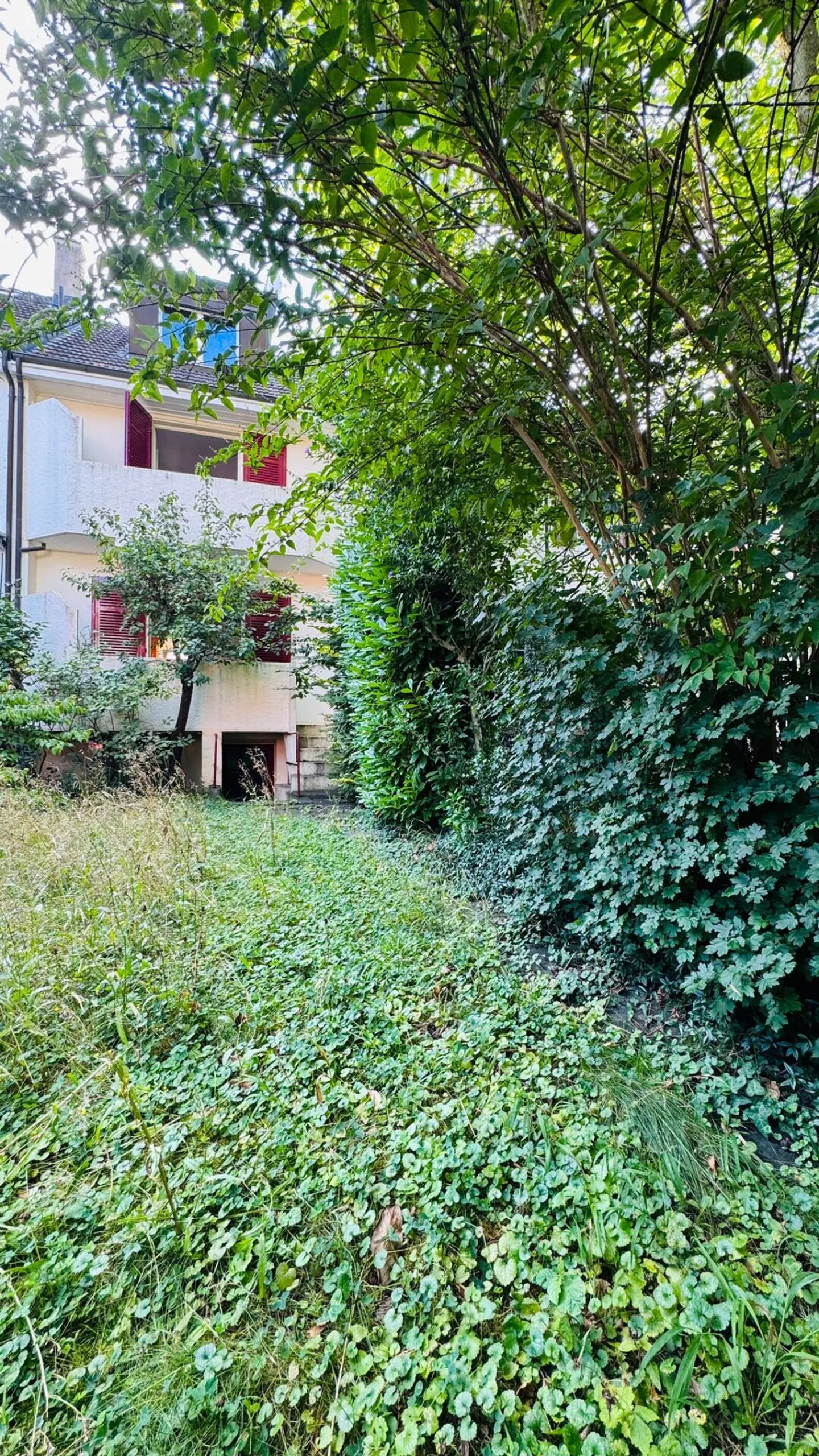 Affascinante casa a schiera di 5,5 stanze con giardino nel quartiere Neubad - con grande potenziale - Foto 14 di 17
