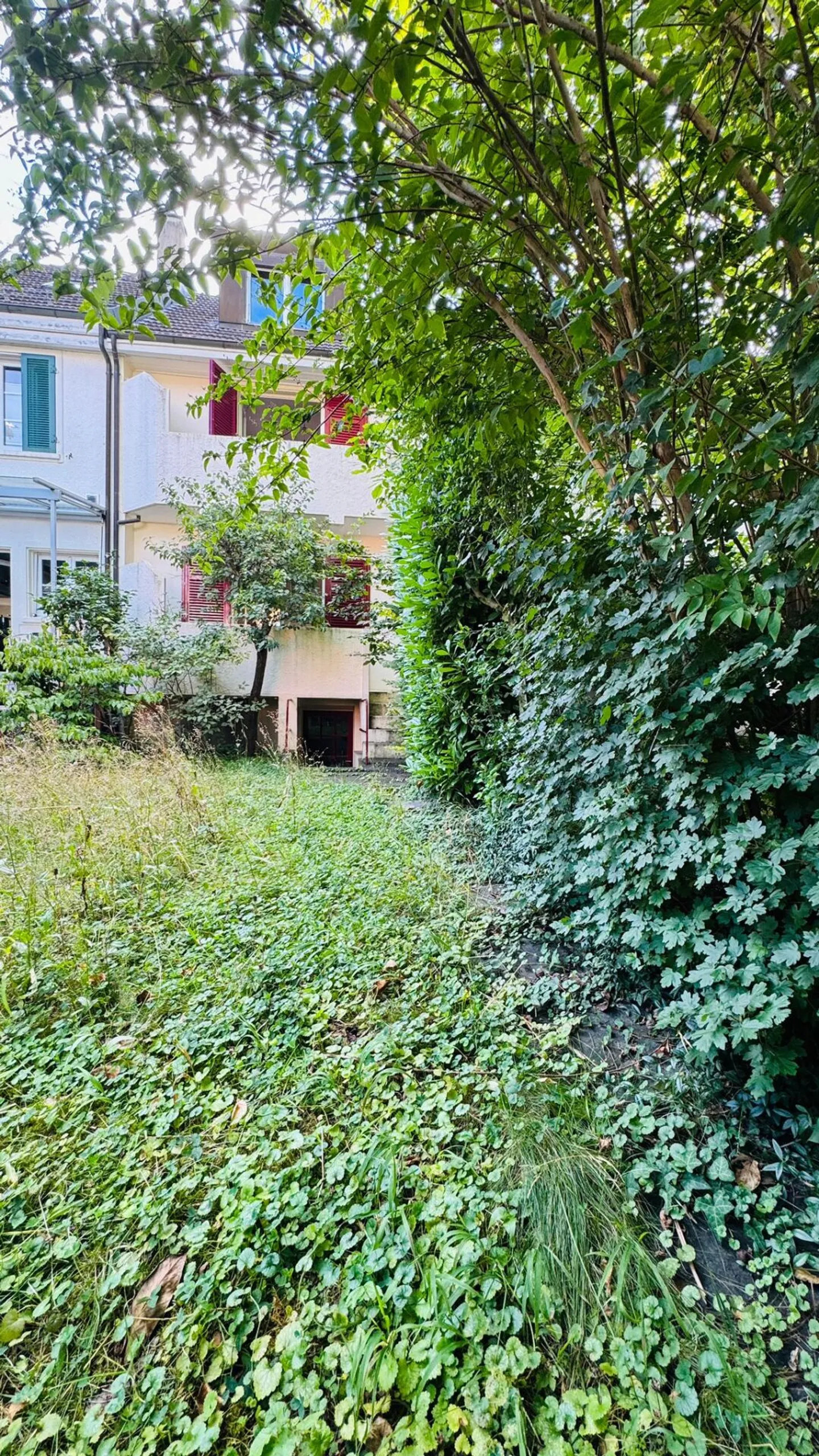 Affascinante casa a schiera di 5,5 stanze con giardino nel quartiere Neubad - con grande potenziale - Foto 15 di 17