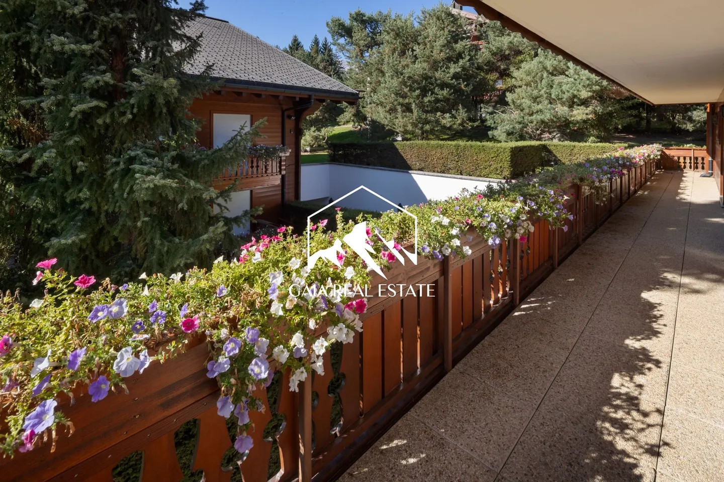 Manga C - Foto 8 di 15