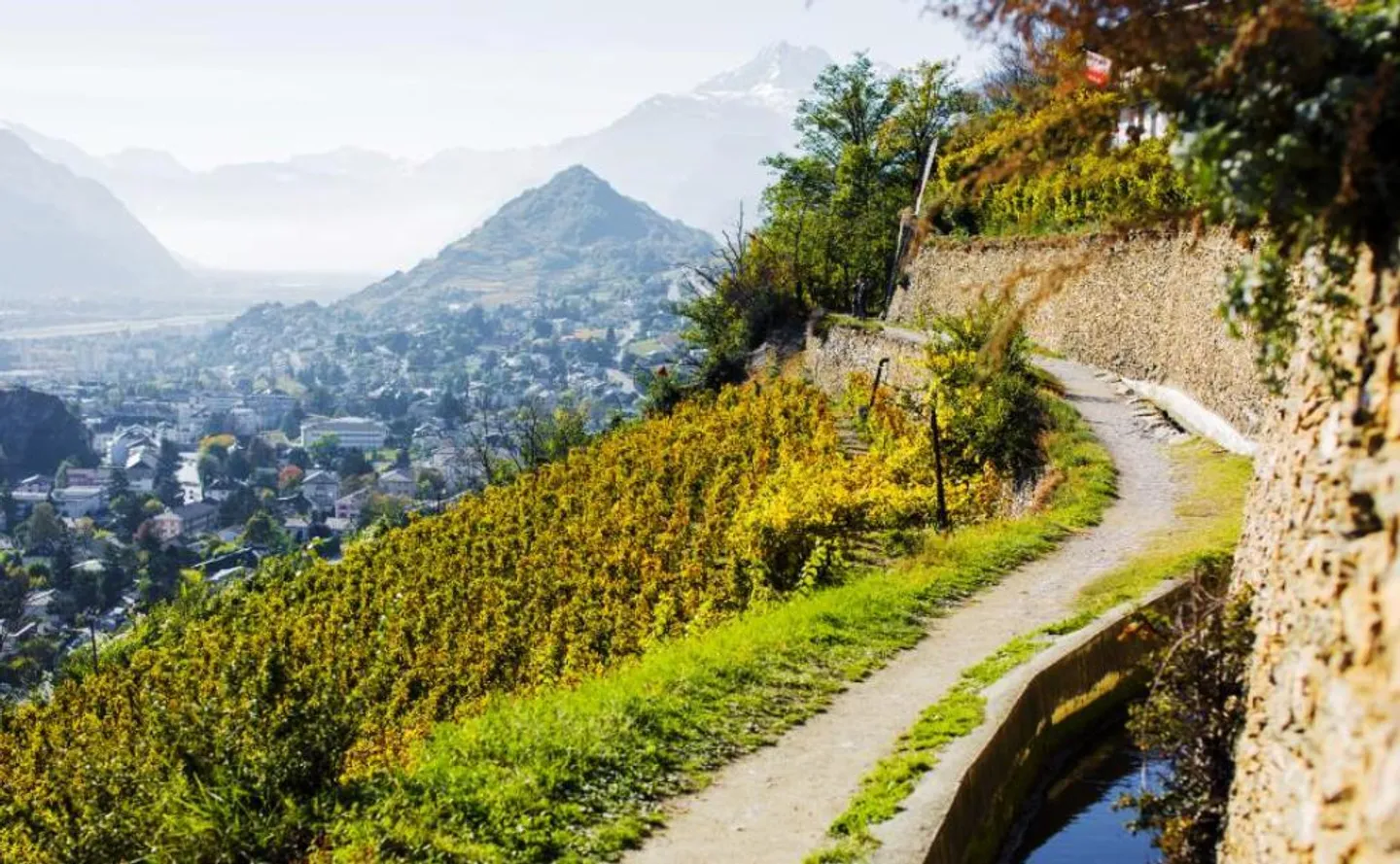 ECOLOGICAL VILLAGE HOUSE, GARDEN, CELLAR, PARKING, UNDER CONSTRUCTION - Photo 11 of 12