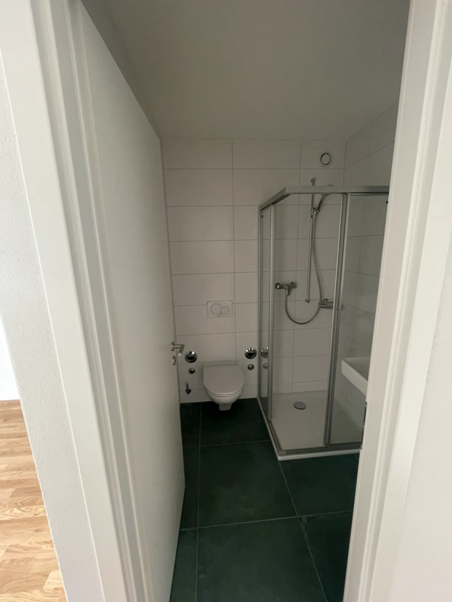 Attic 3.5 rooms - Photo 8 of 9