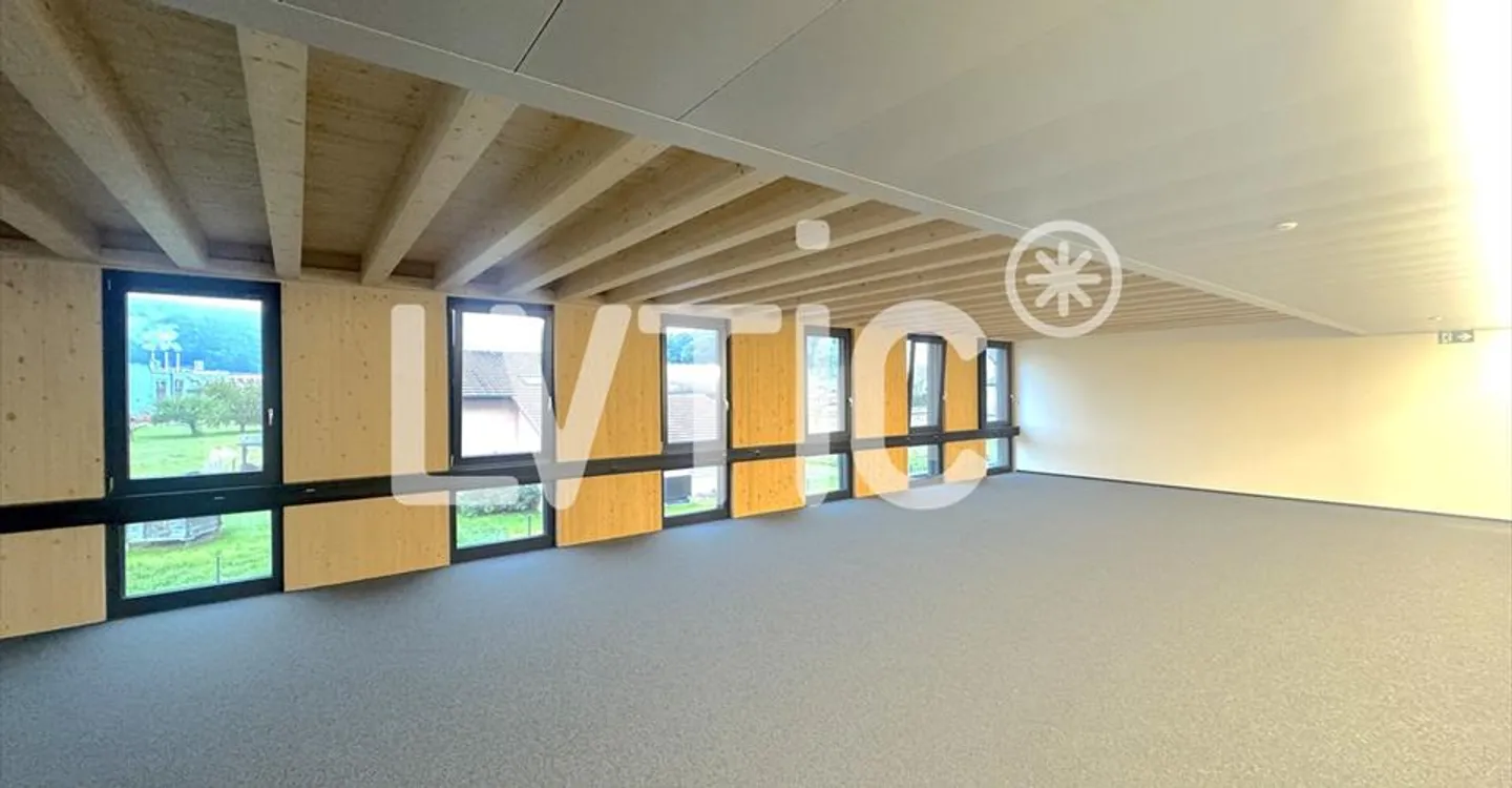 Spacious Office Space in Châtel-St-Denis - Photo 11 of 11