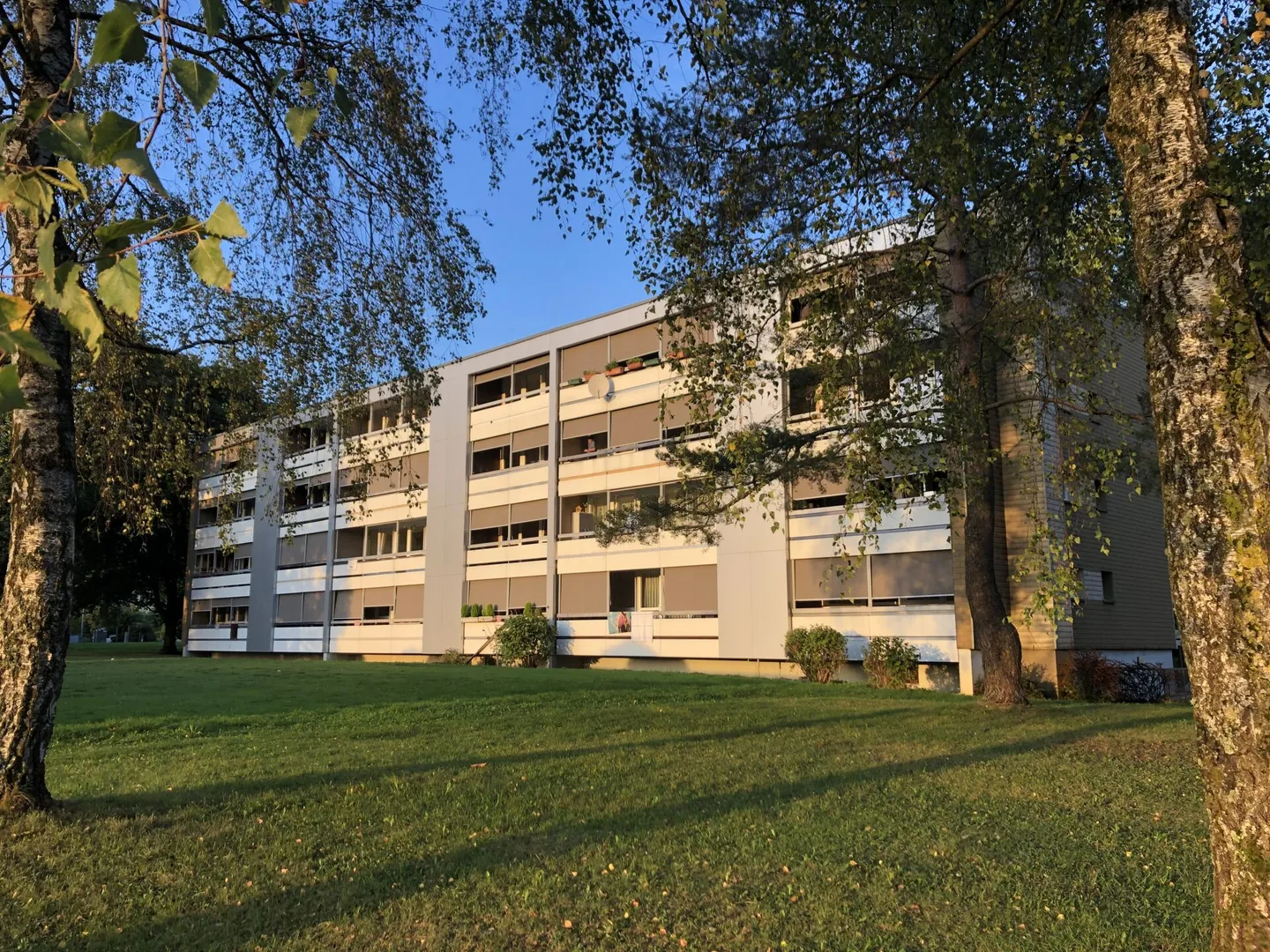 Primo mese gratuito - Appartamento 4.5 locali, 3° piano bella luce serale - Foto 9 di 9