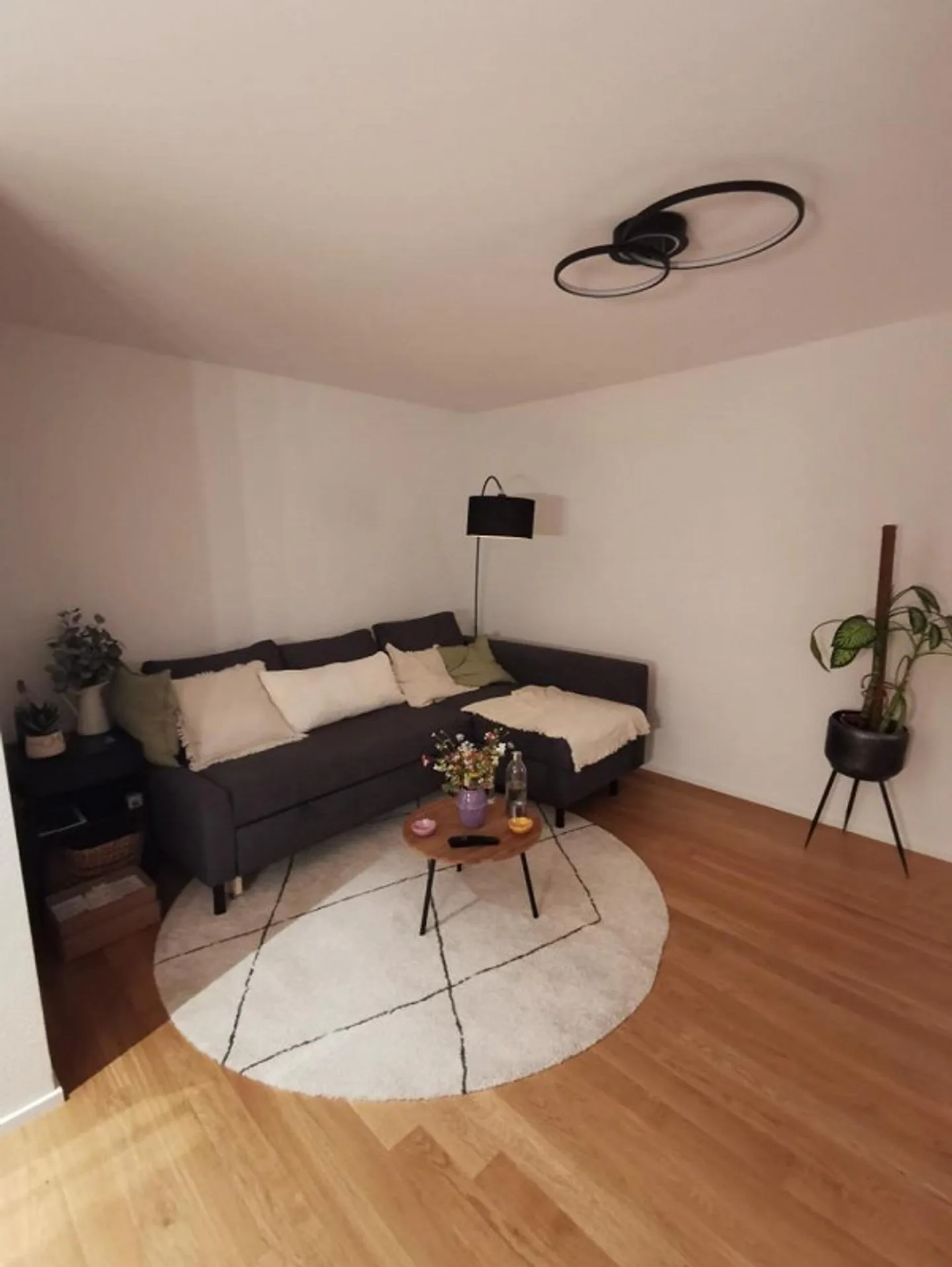 Moderno appartamento 2 1/2 stanze Città Vecchia Sciaffusa - Foto 6 di 8