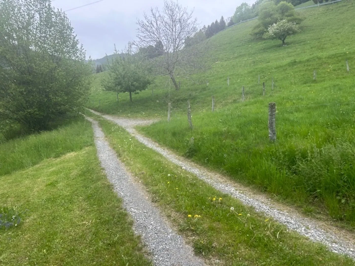 Unico nel suo genere: semi-chalet a Chamby - Foto 51 di 53
