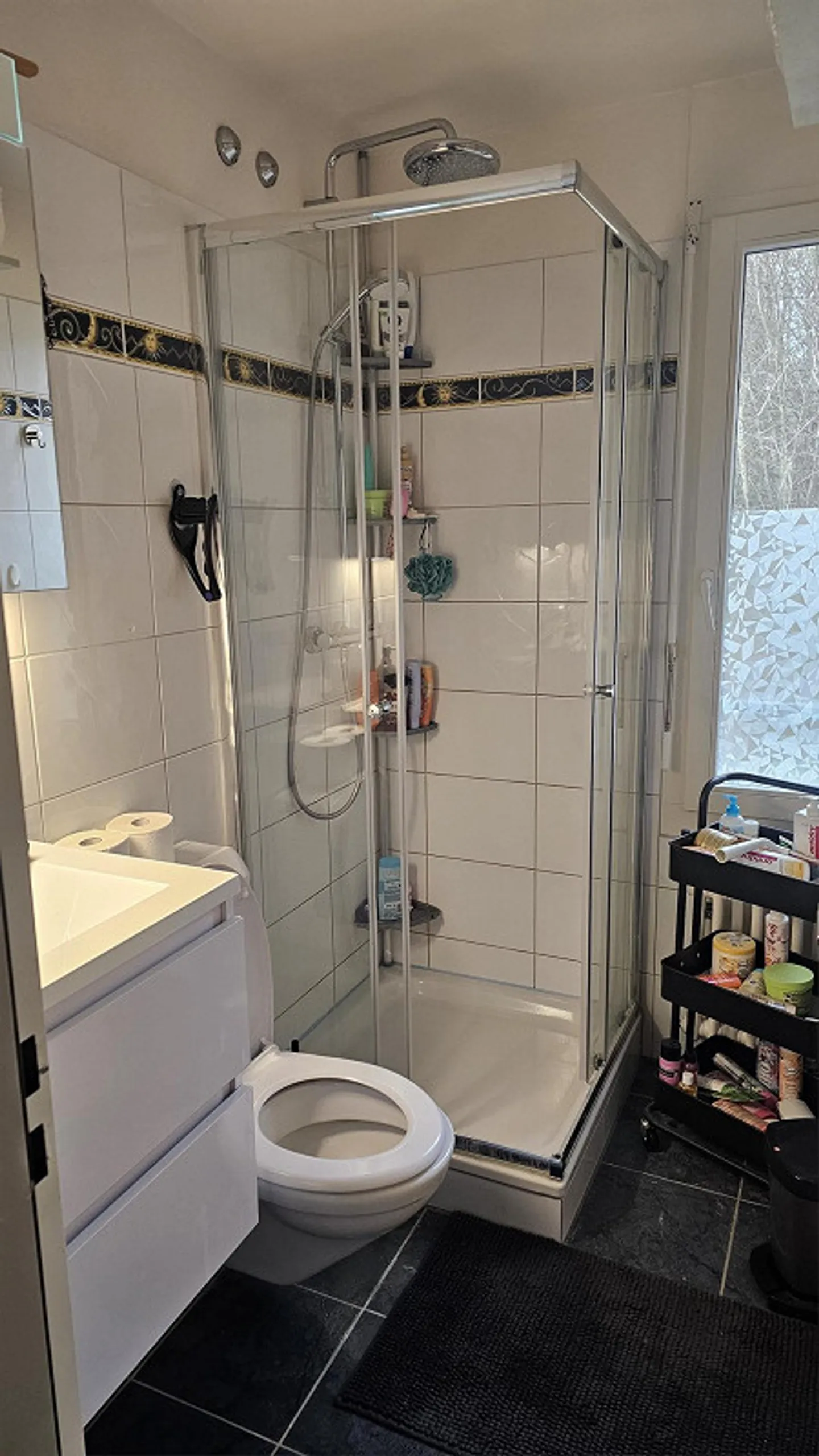 Maisonette esclusiva di 5,5 stanze (154 m²) – Ideale per famiglie e proprietari di cani - Foto 12 di 20