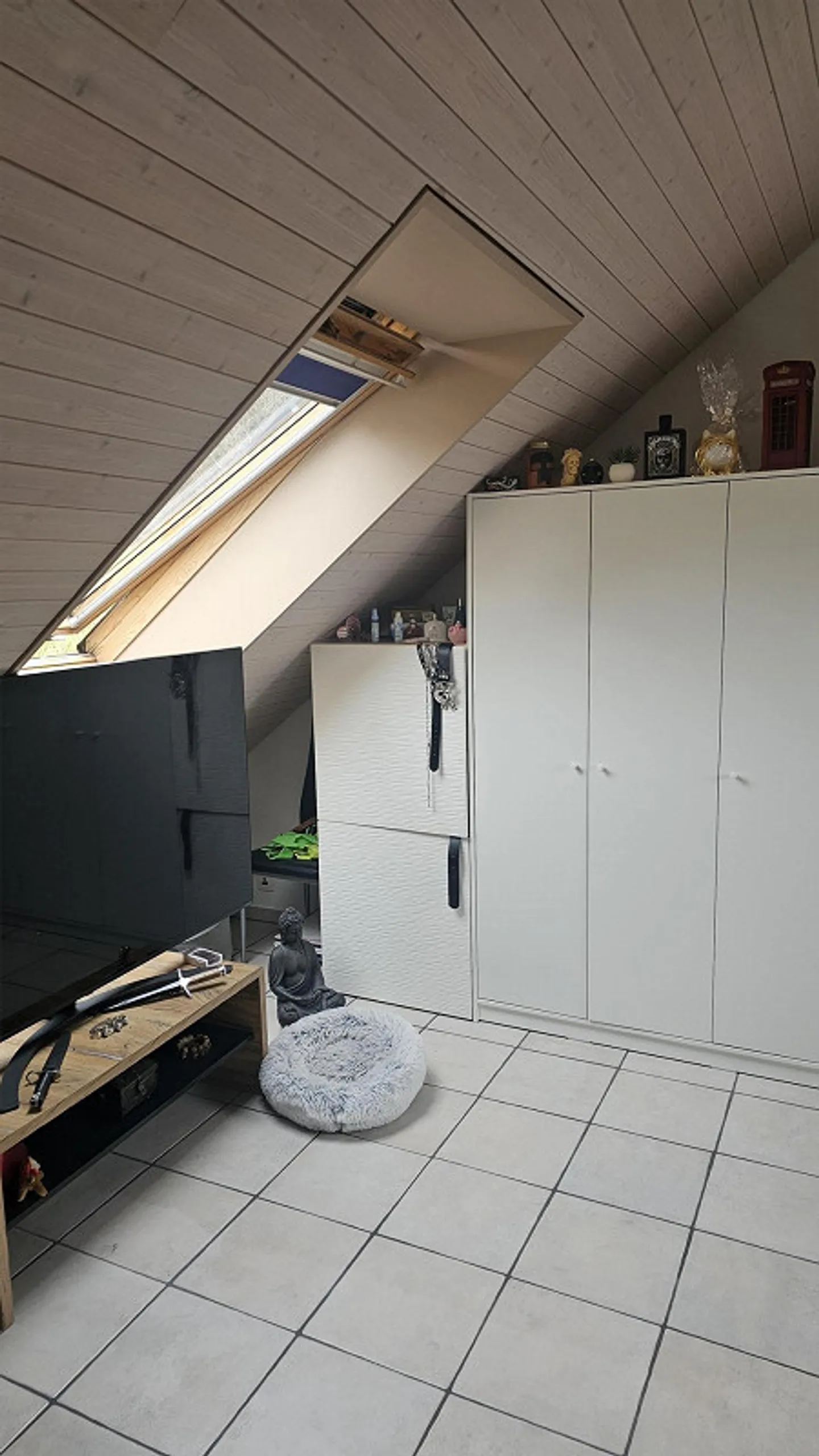 Maisonette esclusiva di 5,5 stanze (154 m²) – Ideale per famiglie e proprietari di cani - Foto 16 di 20