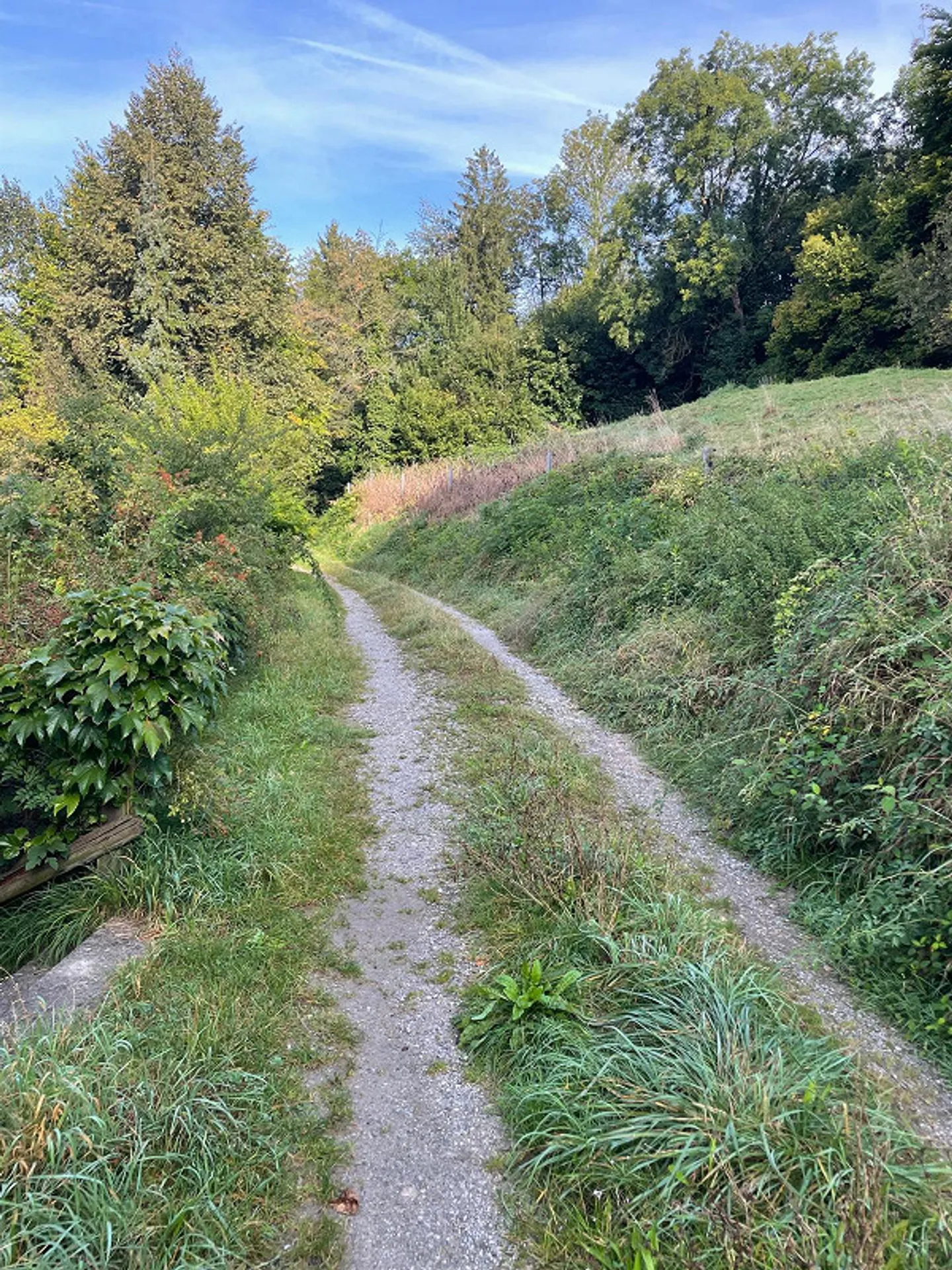 Maisonette esclusiva di 5,5 stanze (154 m²) – Ideale per famiglie e proprietari di cani - Foto 20 di 20