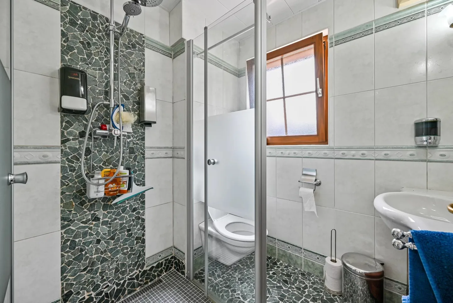 BOUVERET - BEAUTIFUL INDIVIDUAL VILLA 8 ROOMS WITH POOL AND GARDEN - Photo 13 of 19