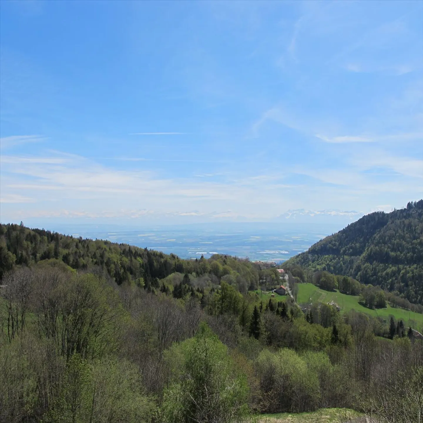 Appartamento 2 locali - Foto 19 di 19