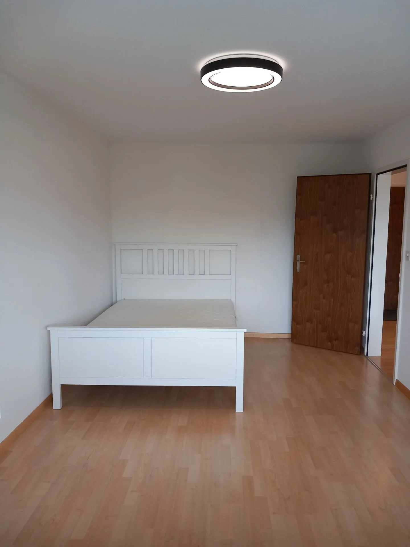 Vivere al centro e sentirsi bene - appartamento ben tenuto di 2,5 stanze - Foto 5 di 8