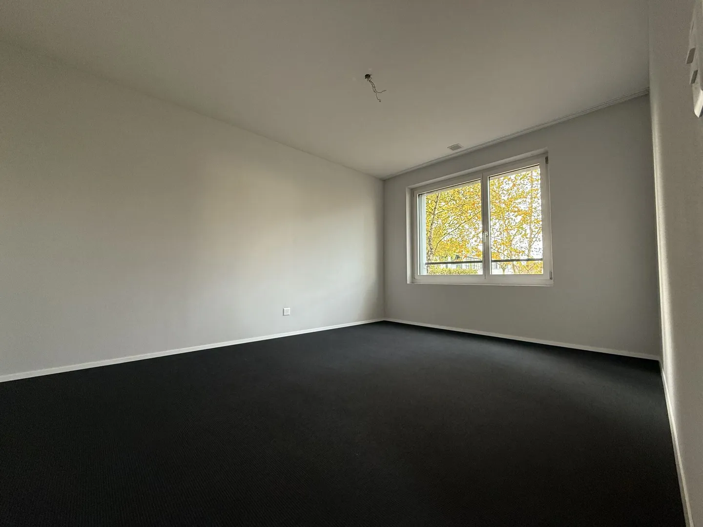 Moderne 2.5 Zimmerwohnung mitten in der Stadt und doch im Grünen - Foto 5 von 10