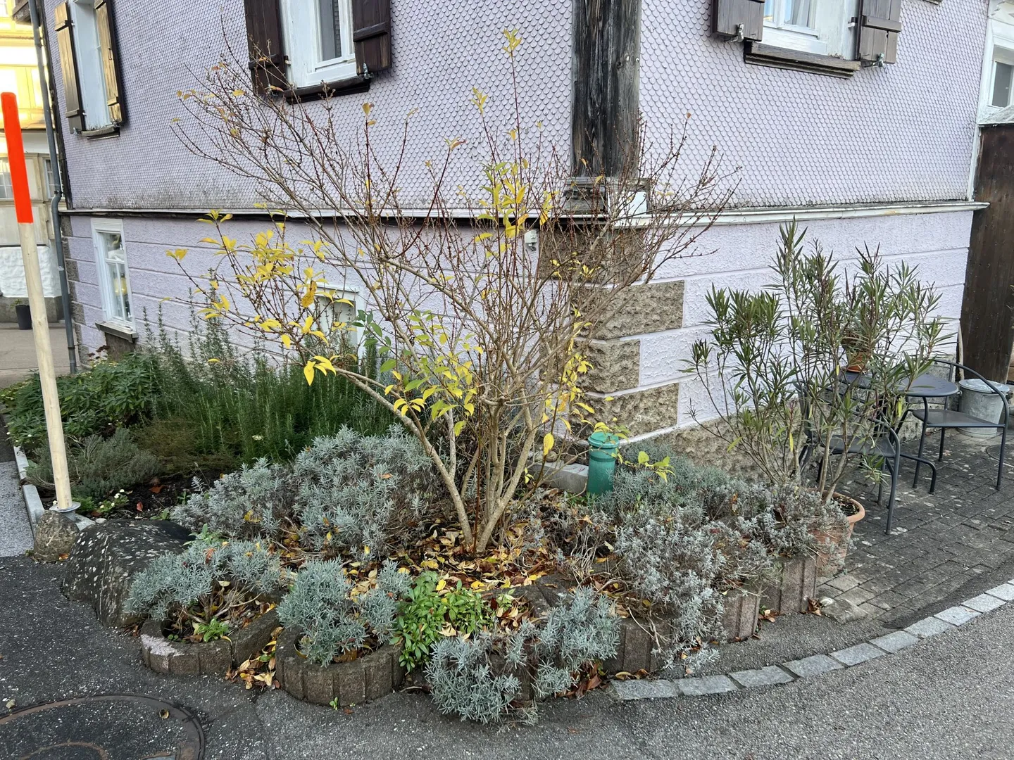 klein-fein-mein - Photo 7 of 32