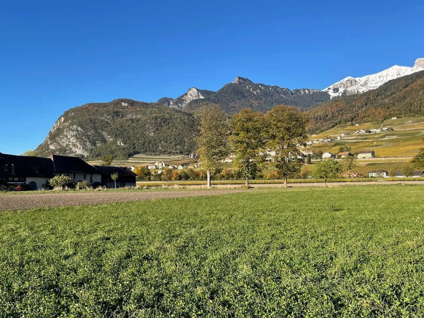 PERMIS DE CONSTRUIRE OBTENU - MAISON INDIVIDUELLE - VUE PANORAMIQUE - Photo 11 sur 13