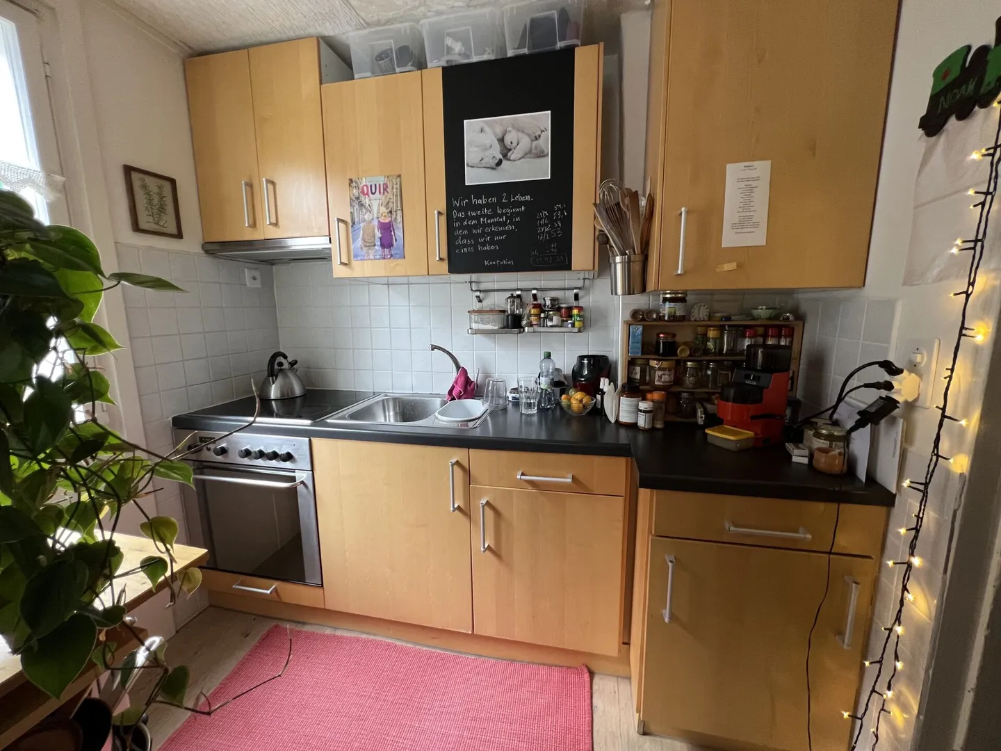 klein-fein-mein - Photo 12 of 32