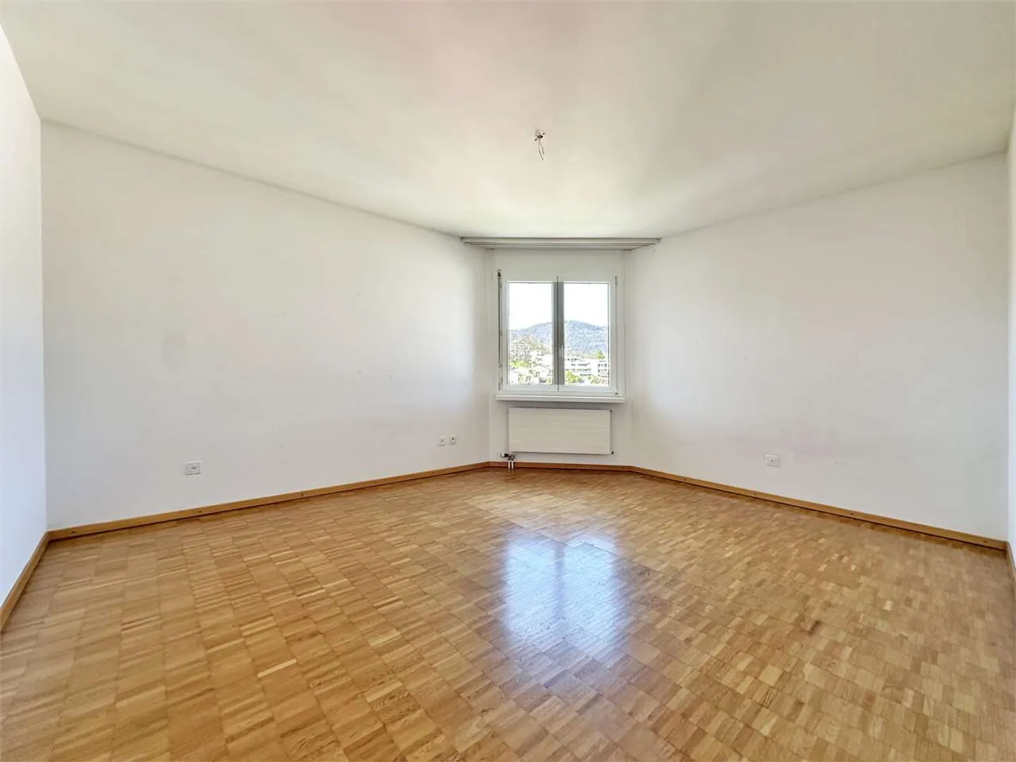 Spacious Apartment in Breganzona - Photo 5 of 11