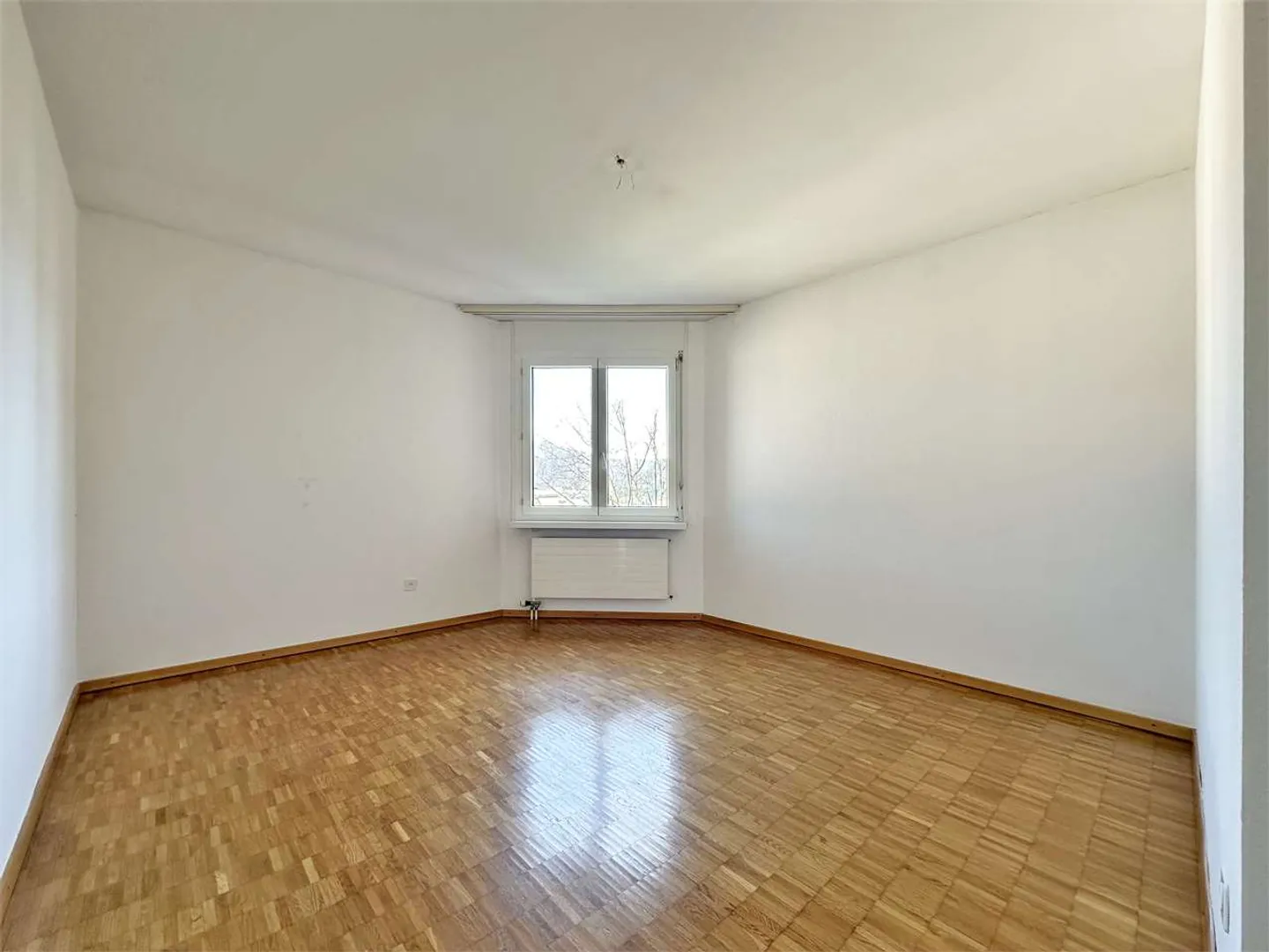 Spacious Apartment in Breganzona - Photo 6 of 11