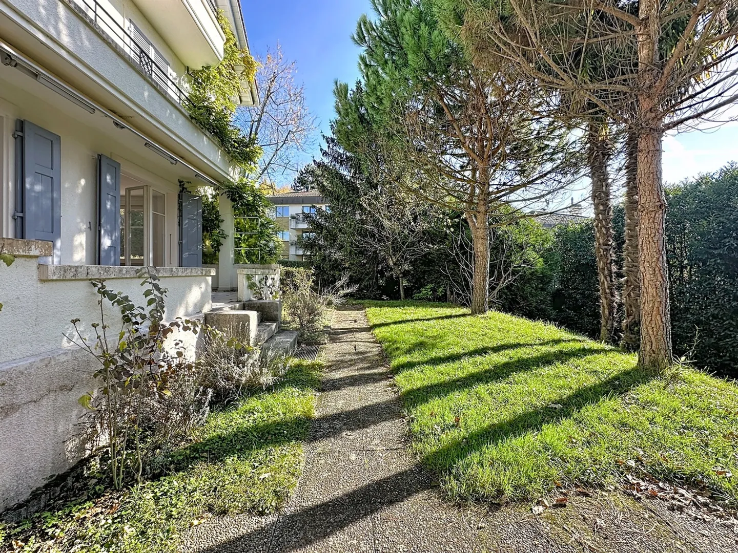 In a residential area! - Photo 6 of 12