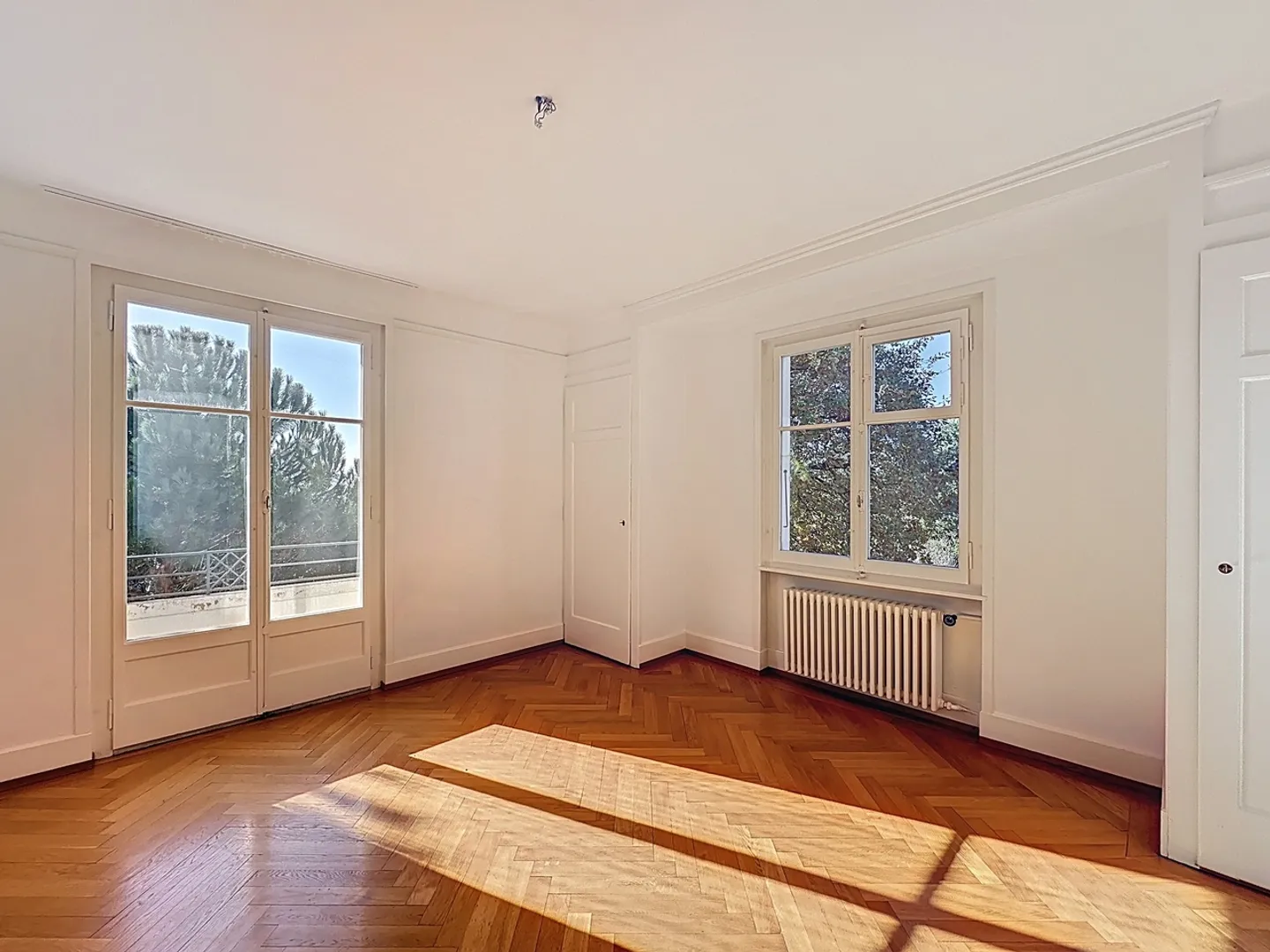 In a residential area! - Photo 11 of 12