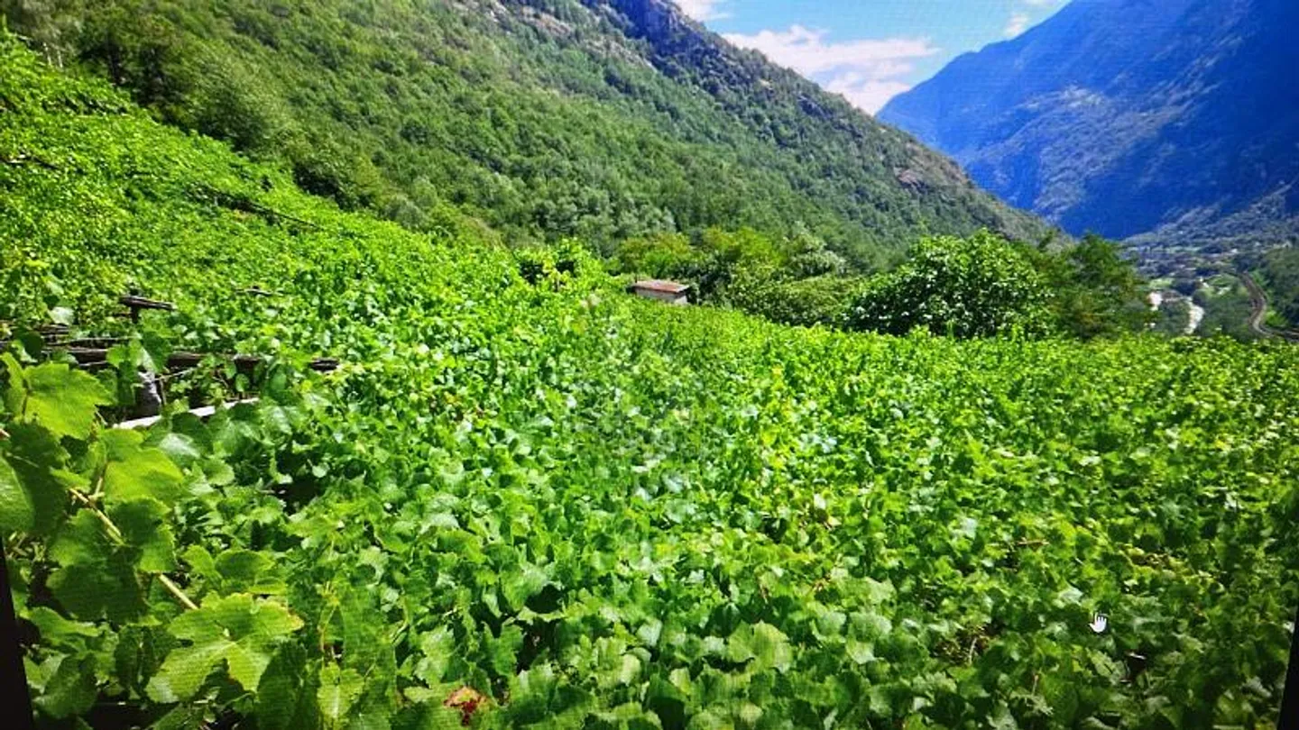 Agricultural exploitation - Photo 1 of 5