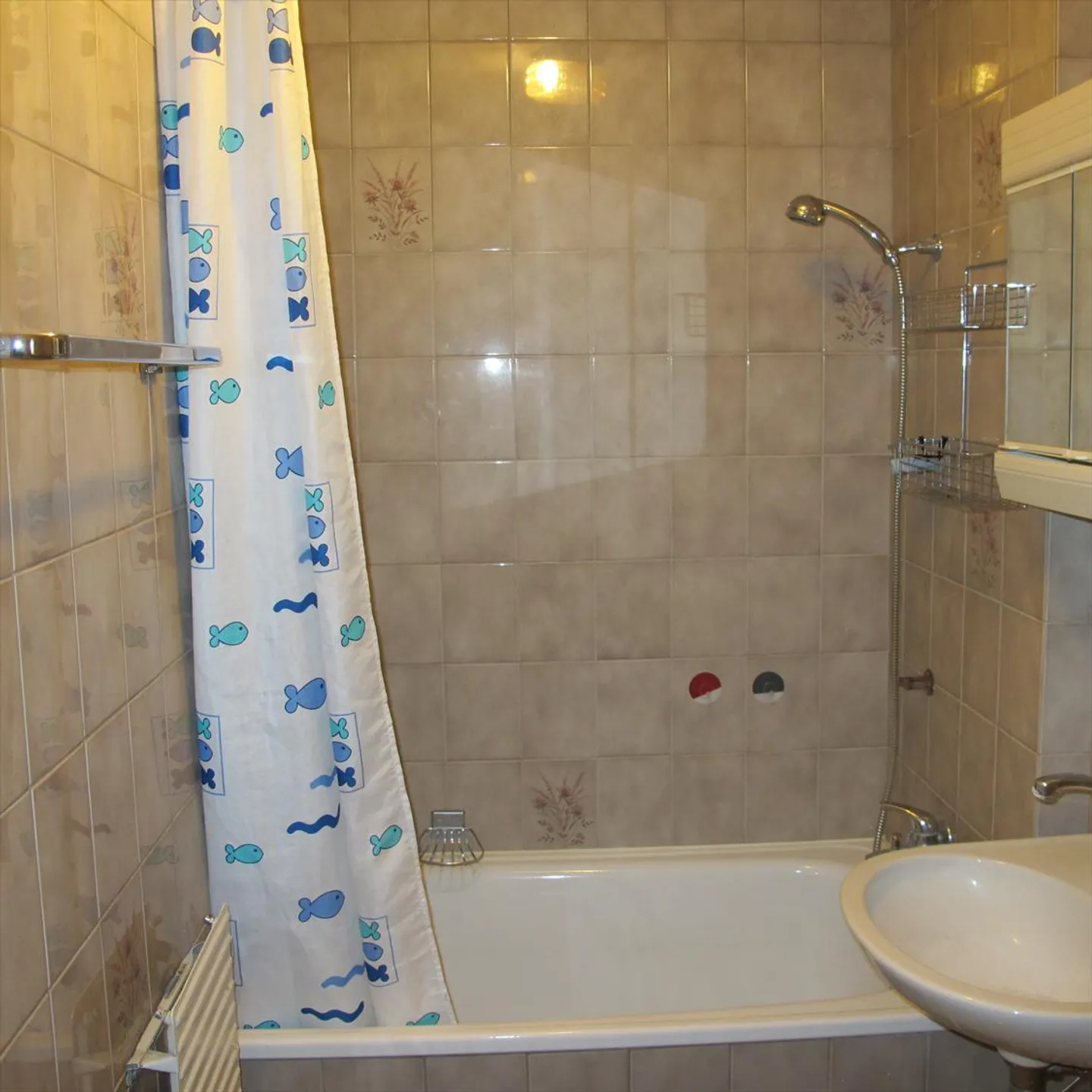 4.5 Room Apartment - Photo 5 of 7