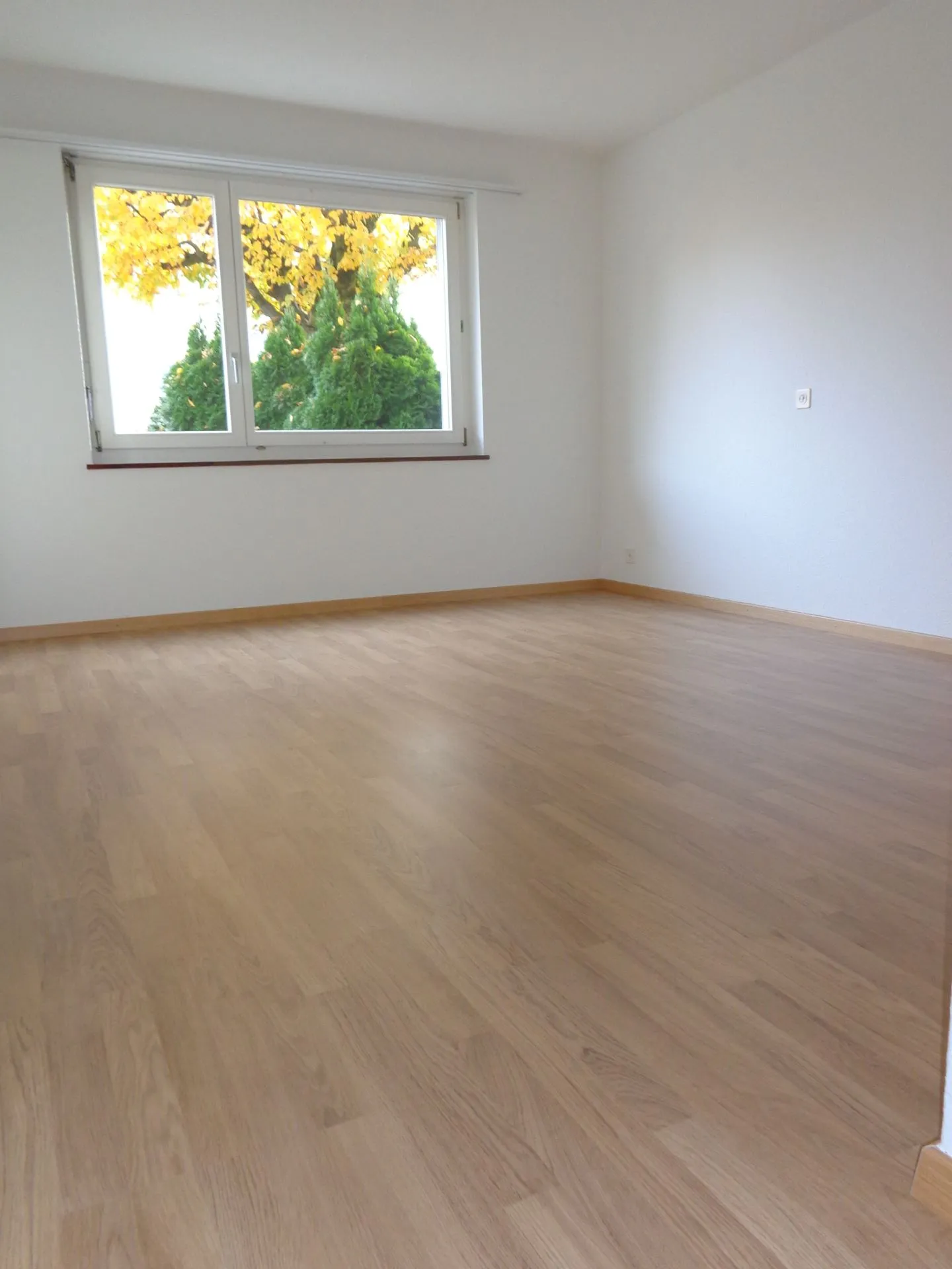 VIVERE TEMPORANEAMENTE - con area giardino in una posizione tranquilla - Foto 5 di 8