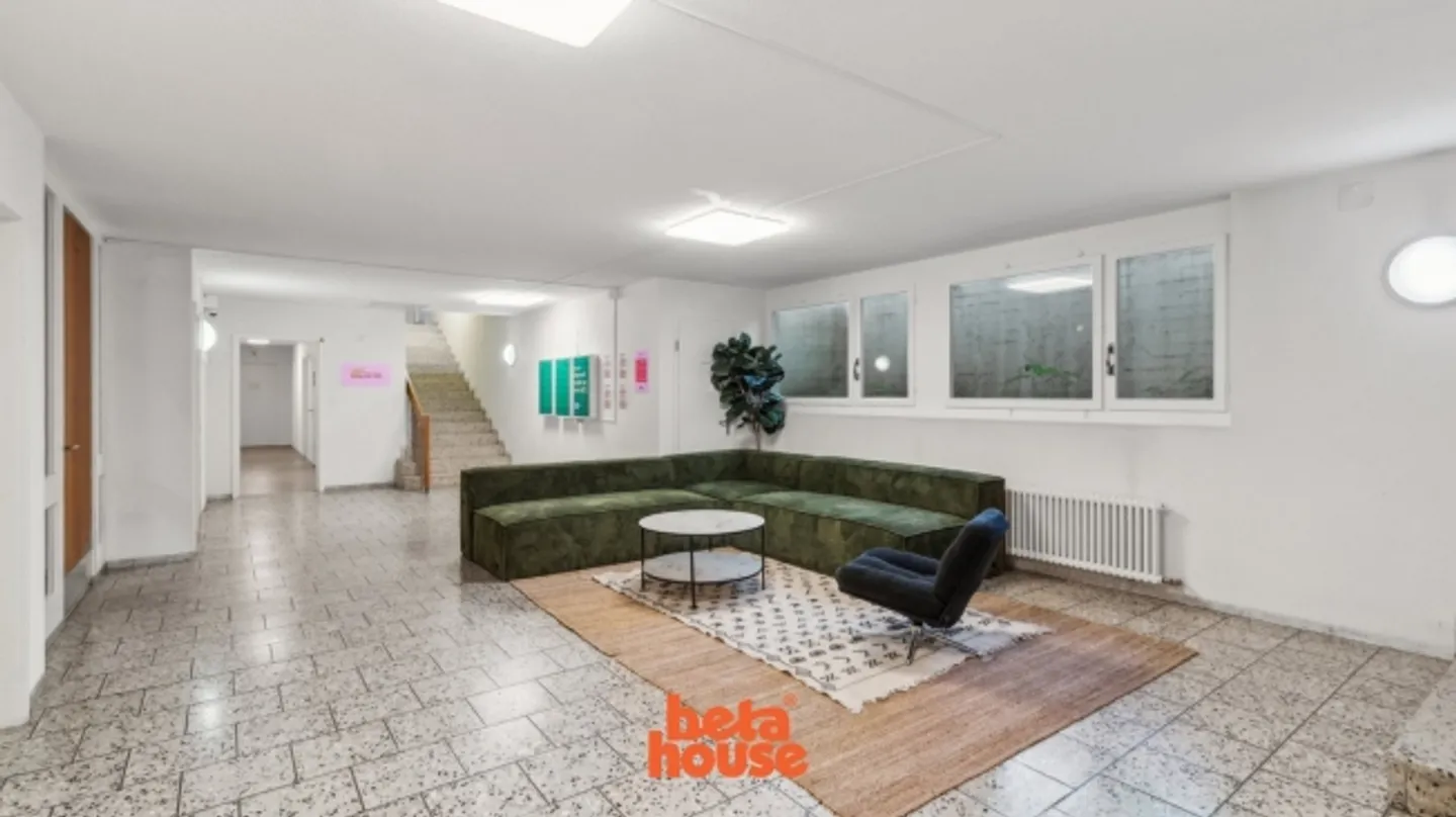 La tua casa di co-living nel cuore di Zurigo 🏠 - Foto 2 di 13
