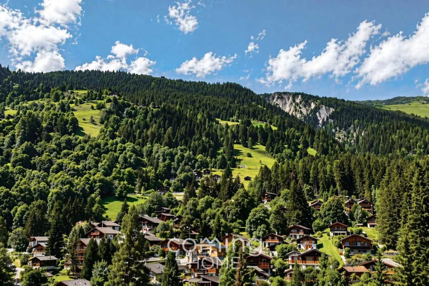 Restaurant à Blatten b. Naters à vendre - Investissement attractif - Photo 4 sur 6