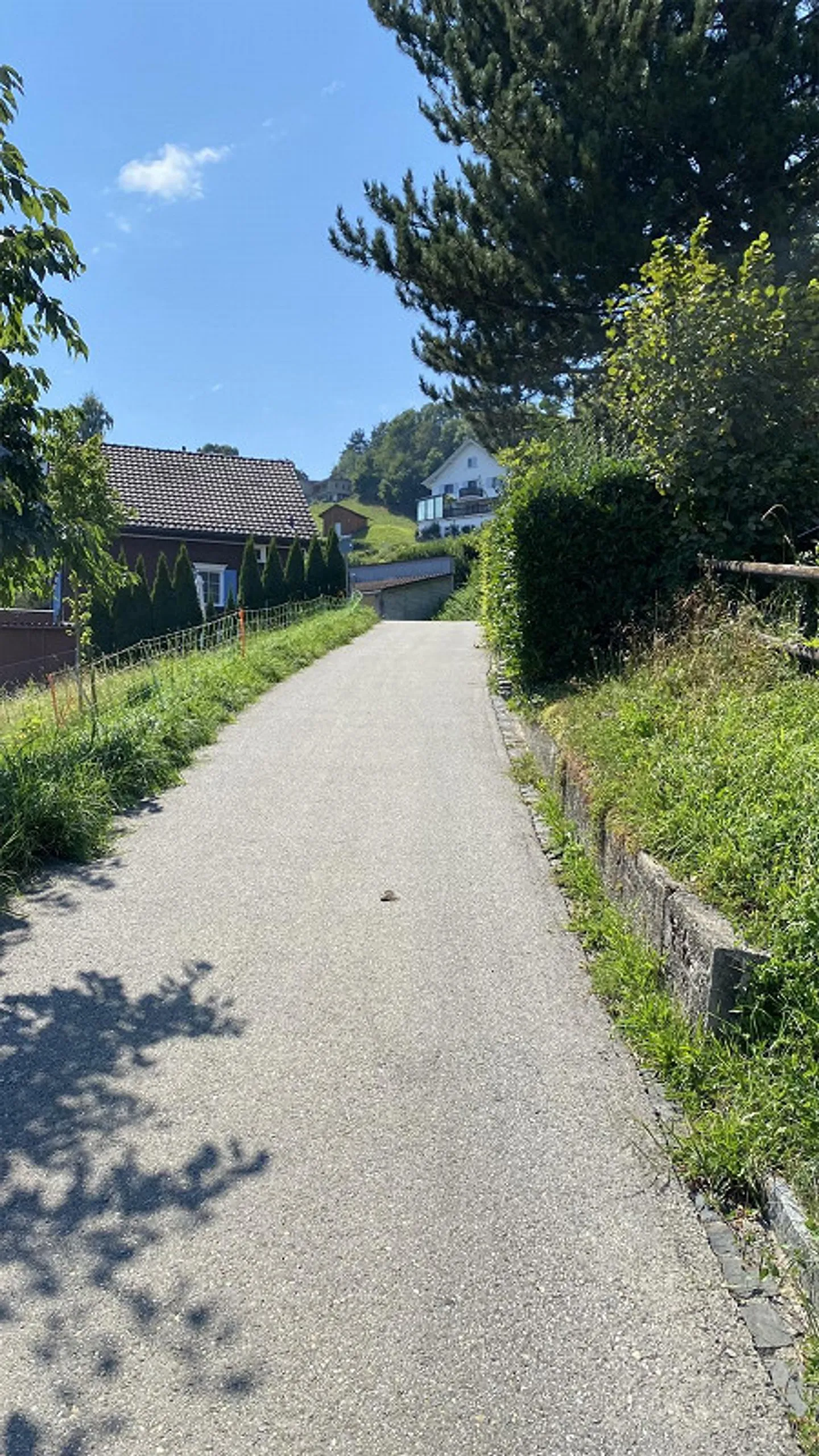 Dream Home on Lake Constance - Building Land with a View in Walzenhausen - Photo 2 of 7