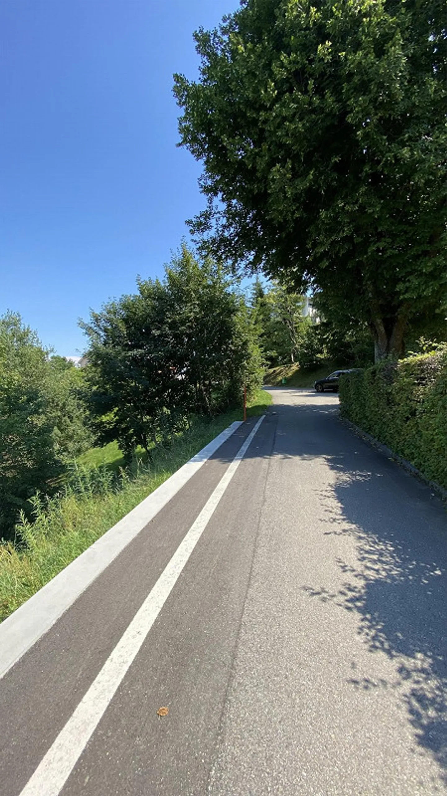 Dream Home on Lake Constance - Building Land with a View in Walzenhausen - Photo 5 of 7