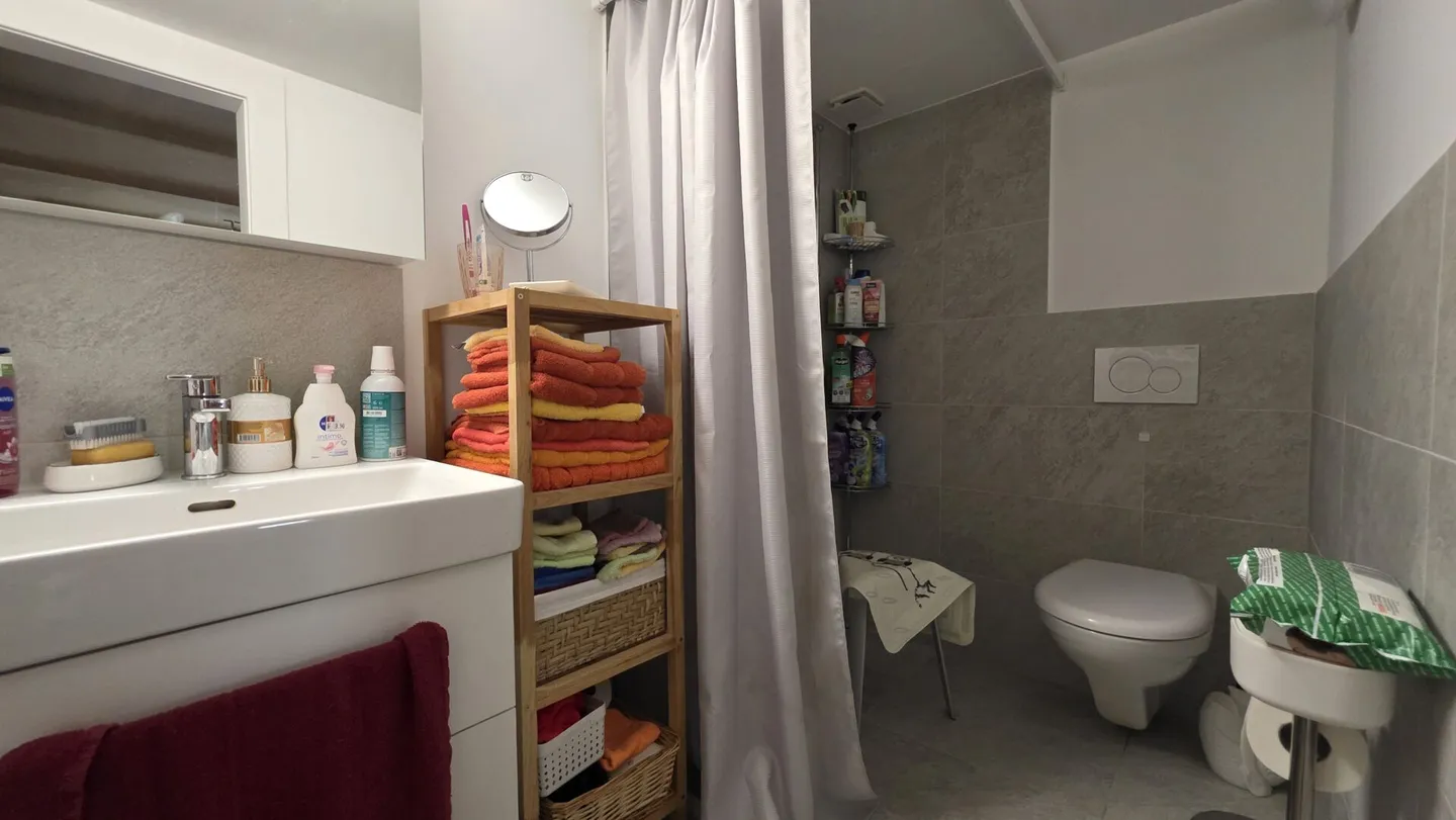 Casa bifamiliare con appartamento - Foto 6 di 10