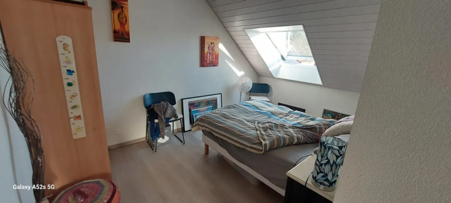 3.5 Room Apartment - Photo 8 of 12