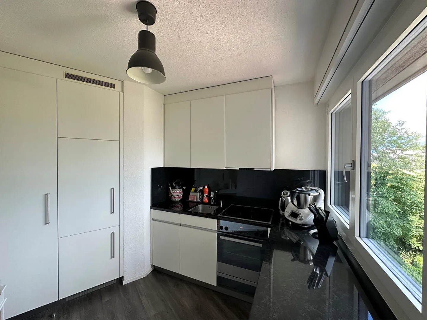 4.5 Room Apartment by the Lake - Photo 3 of 5