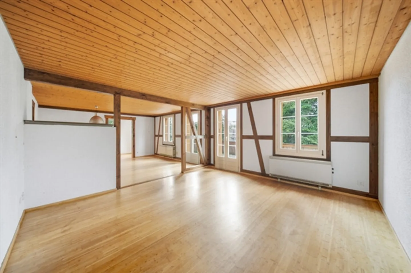 Maison individuelle détachée avec grand jardin et vue sur le lac - Photo 8 sur 8