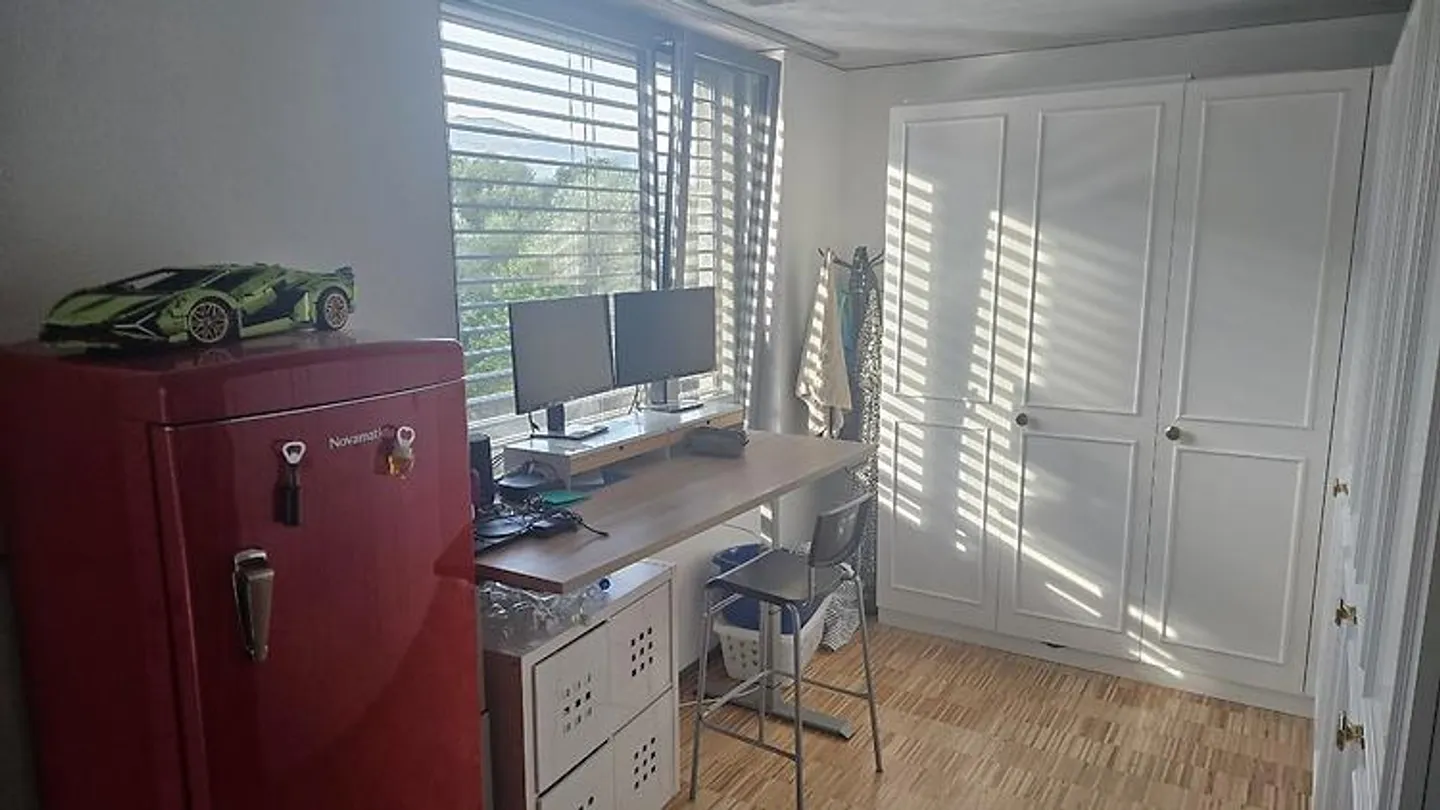 3½ ROOM APARTMENT IN ZUCHWIL (SO), FURNISHED, TEMPORARY - Photo 5 of 10