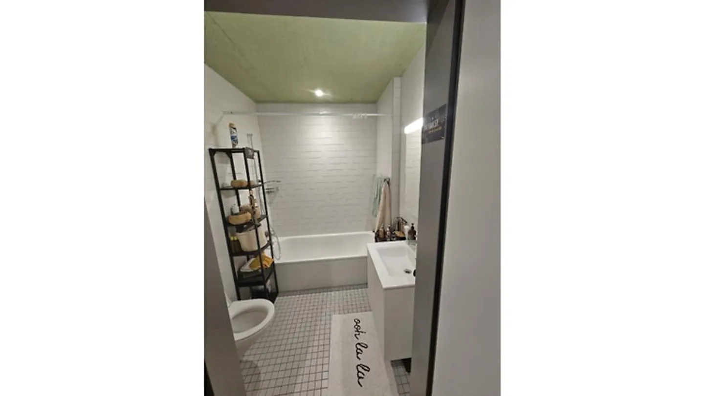 3½ ROOM APARTMENT IN ZUCHWIL (SO), FURNISHED, TEMPORARY - Photo 9 of 10